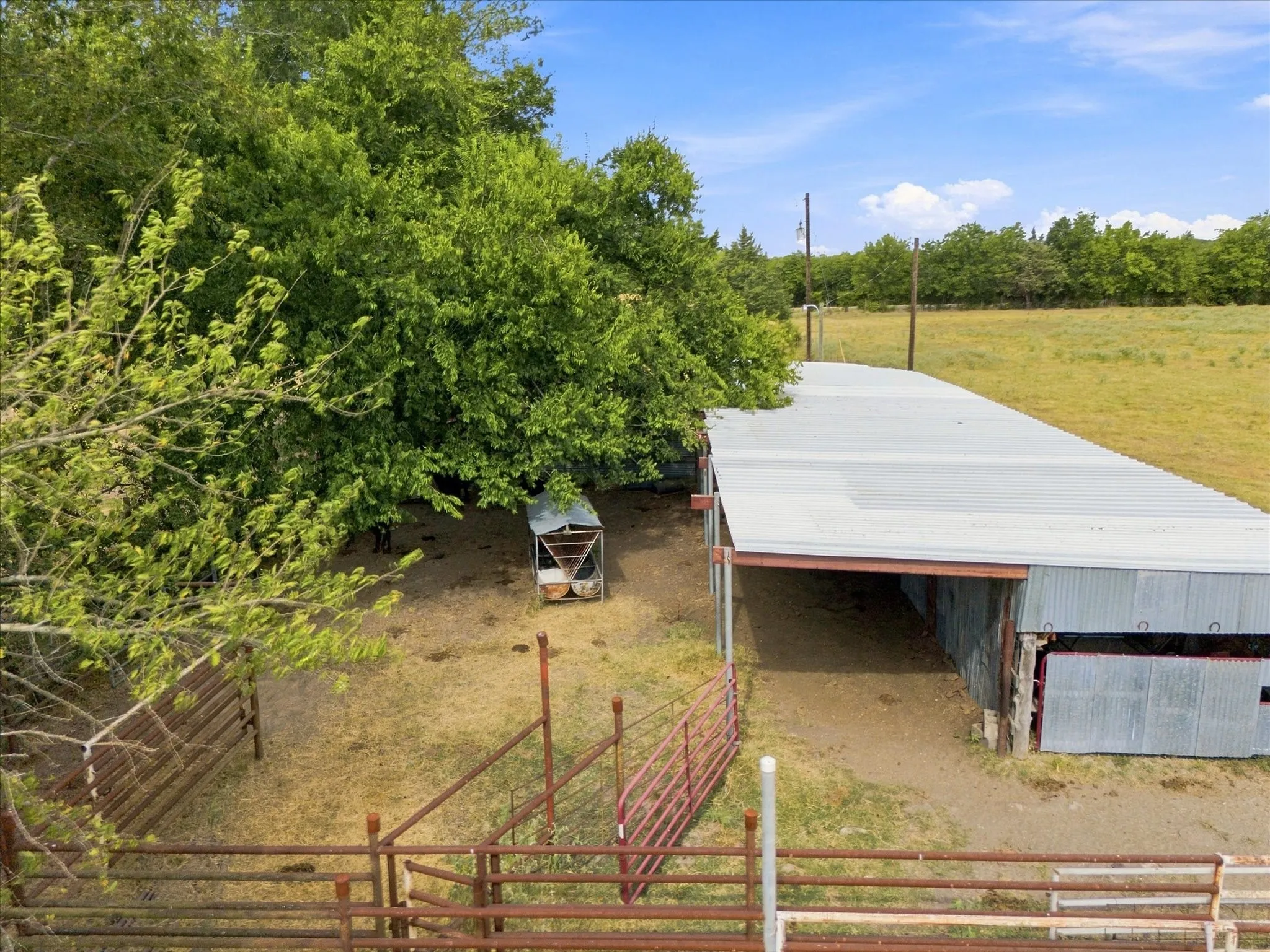 Unimproved Land For Sale in Delta County , 431 Fm 71, Commerce, Texas 75428, 0, 0, Garage spaces, 0 Sqft, built in 0, mls#21377733, Real Estate Agent in Commerce, Homes For Sale in Delta county, Homes For Sale in Commerce, Realtor in Commerce Texas, Real Estate Brokerage Independent Realty Texas, Luminita Cordes Realtor