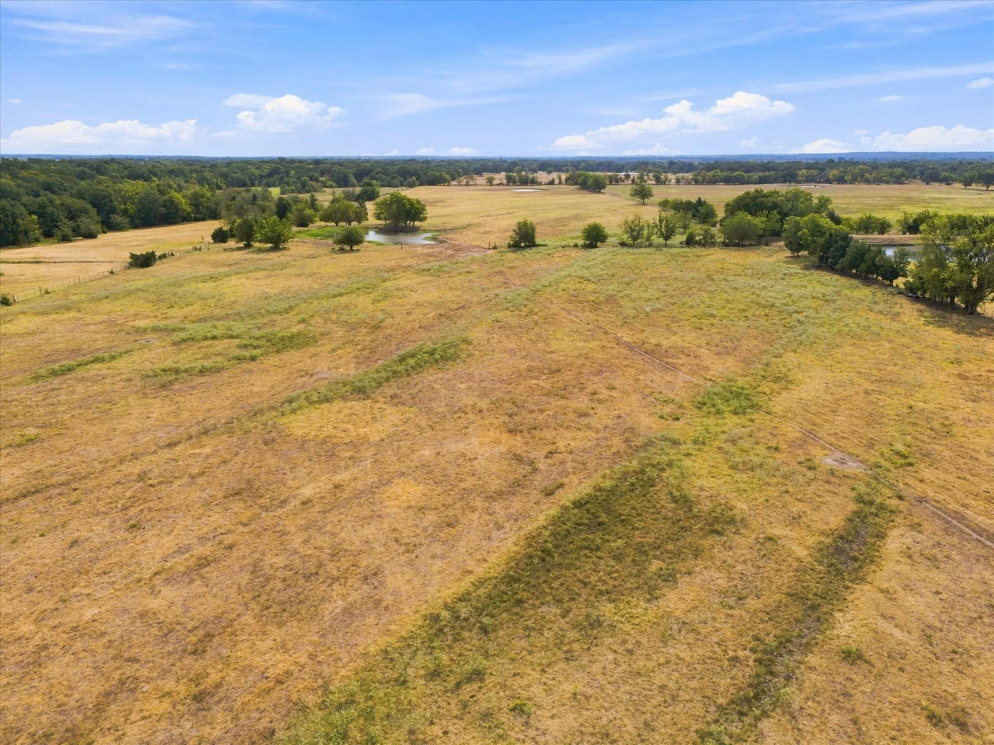 Unimproved Land For Sale in Delta County , 431 Fm 71, Commerce, Texas 75428, 0, 0, Garage spaces, 0 Sqft, built in 0, mls#21377733, Real Estate Agent in Commerce, Homes For Sale in Delta county, Homes For Sale in Commerce, Realtor in Commerce Texas, Real Estate Brokerage Independent Realty Texas, Luminita Cordes Realtor