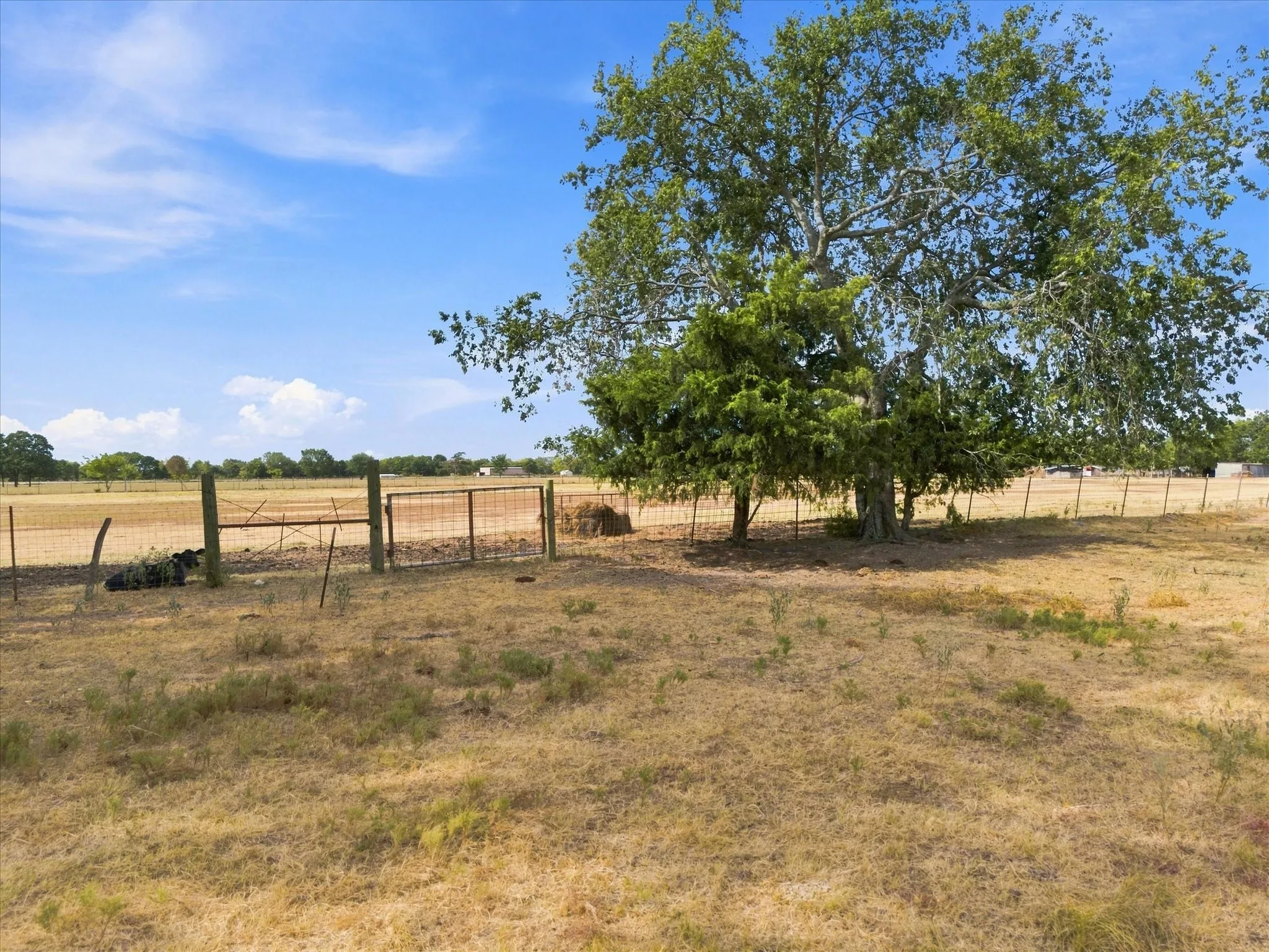 Unimproved Land For Sale in Delta County , 431 Fm 71, Commerce, Texas 75428, 0, 0, Garage spaces, 0 Sqft, built in 0, mls#21377733, Real Estate Agent in Commerce, Homes For Sale in Delta county, Homes For Sale in Commerce, Realtor in Commerce Texas, Real Estate Brokerage Independent Realty Texas, Luminita Cordes Realtor