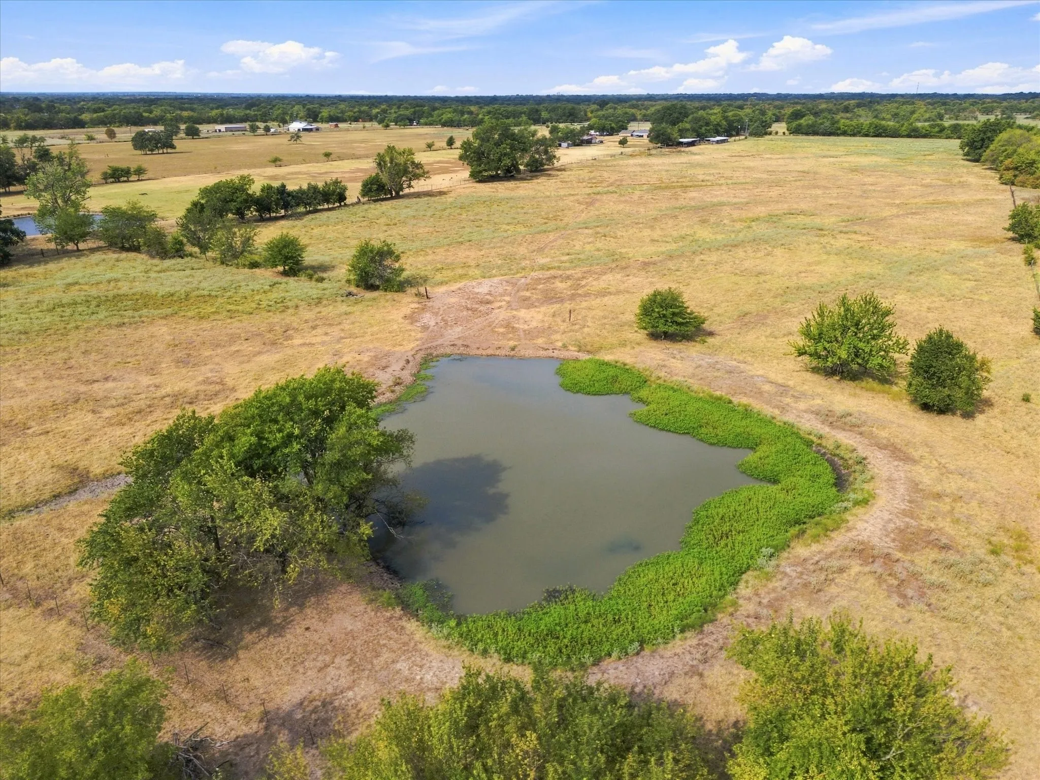 Unimproved Land For Sale in Delta County , 431 Fm 71, Commerce, Texas 75428, 0, 0, Garage spaces, 0 Sqft, built in 0, mls#21377733, Real Estate Agent in Commerce, Homes For Sale in Delta county, Homes For Sale in Commerce, Realtor in Commerce Texas, Real Estate Brokerage Independent Realty Texas, Luminita Cordes Realtor
