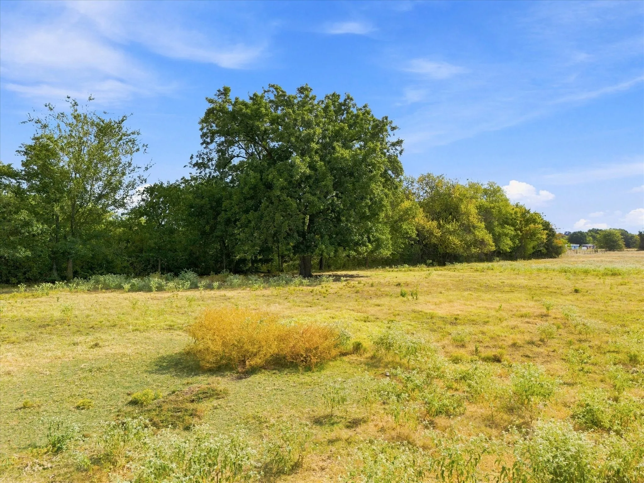 Unimproved Land For Sale in Delta County , 431 Fm 71, Commerce, Texas 75428, 0, 0, Garage spaces, 0 Sqft, built in 0, mls#21377733, Real Estate Agent in Commerce, Homes For Sale in Delta county, Homes For Sale in Commerce, Realtor in Commerce Texas, Real Estate Brokerage Independent Realty Texas, Luminita Cordes Realtor