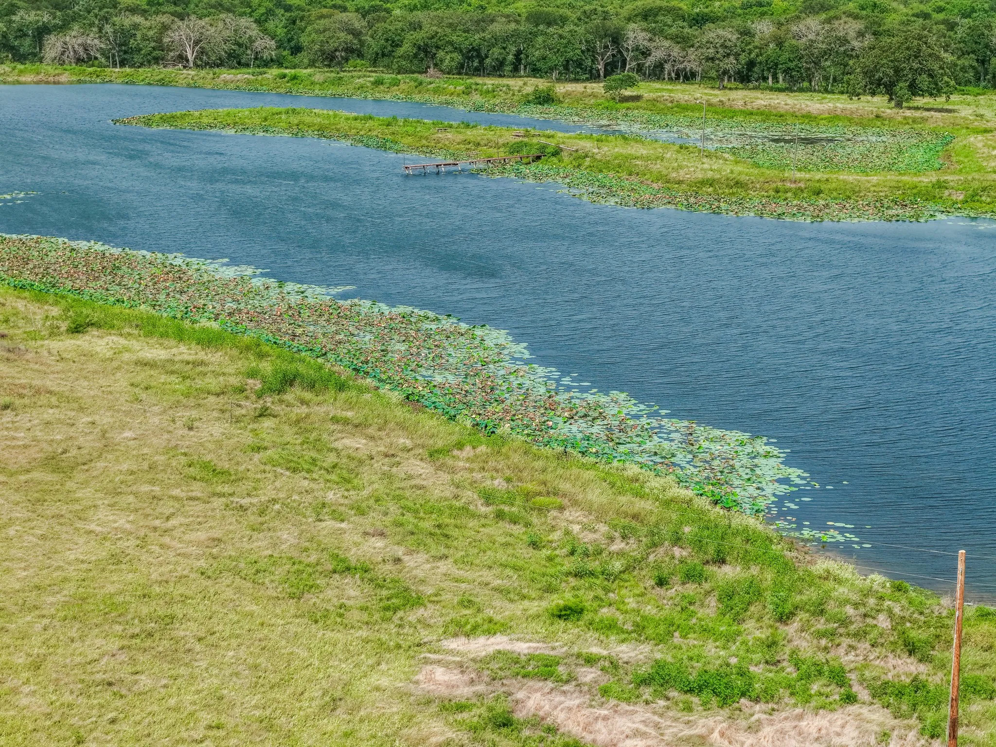Improved Land For Sale in Limestone County , 6351 FM 39 Fm 39, Mexia, Texas 76667, 0, 0, Garage spaces, 0 Sqft, built in 0, mls#21377768, Real Estate Agent in Mexia, Homes For Sale in Limestone county, Homes For Sale in Mexia, Realtor in Mexia Texas, Real Estate Brokerage Independent Realty Texas, Luminita Cordes Realtor