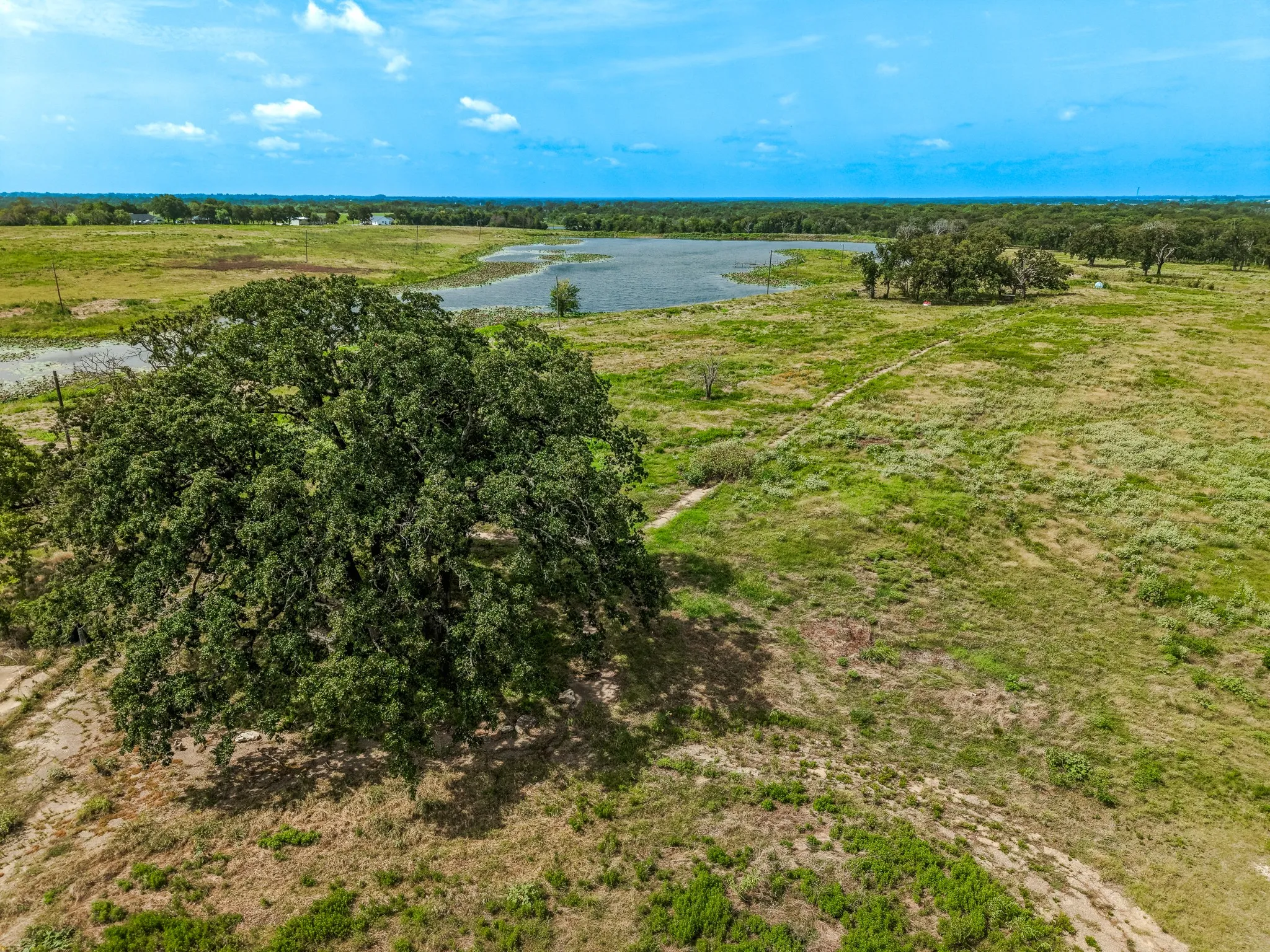 Improved Land For Sale in Limestone County , 6351 FM 39 Fm 39, Mexia, Texas 76667, 0, 0, Garage spaces, 0 Sqft, built in 0, mls#21377768, Real Estate Agent in Mexia, Homes For Sale in Limestone county, Homes For Sale in Mexia, Realtor in Mexia Texas, Real Estate Brokerage Independent Realty Texas, Luminita Cordes Realtor