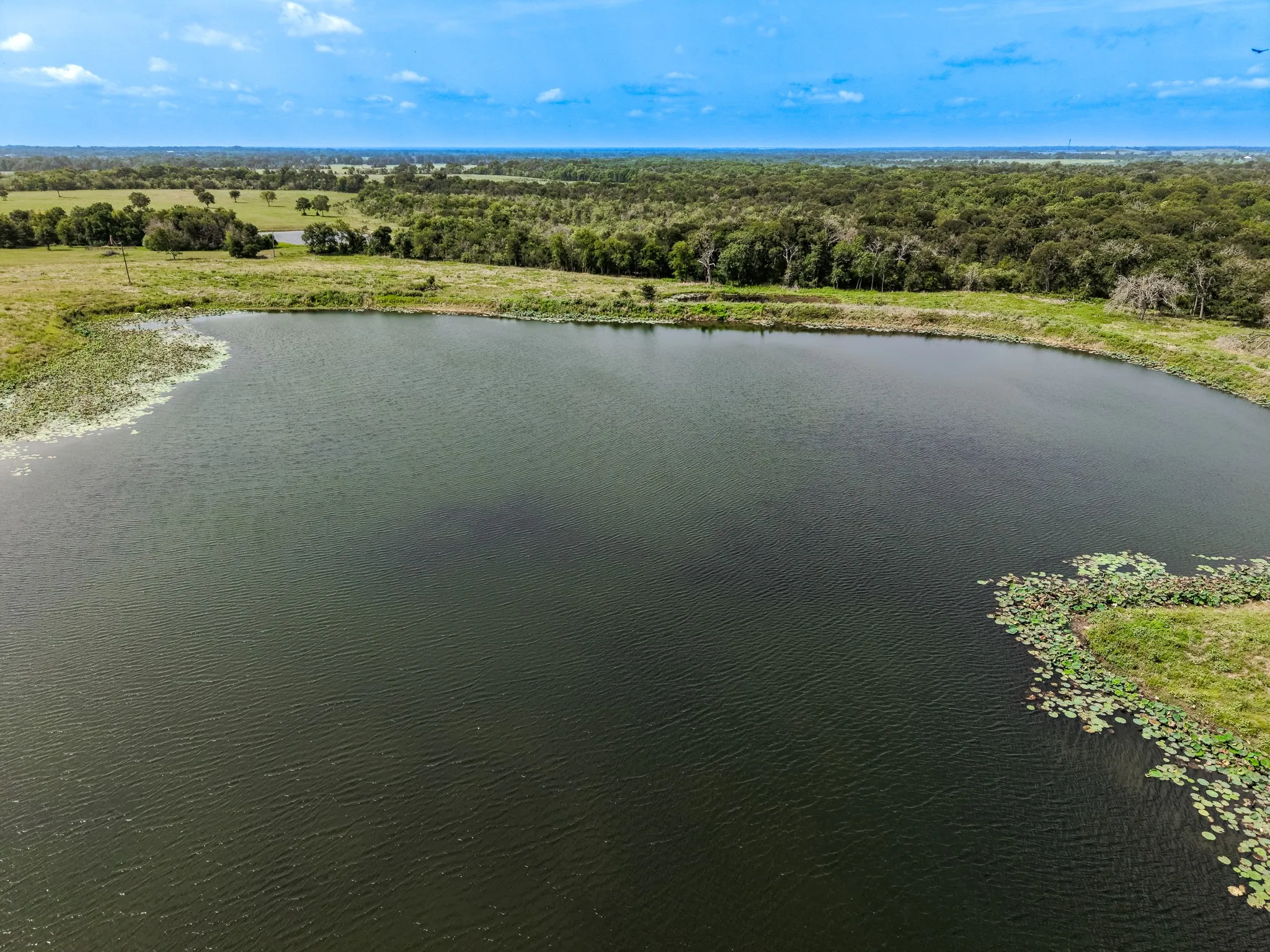 Improved Land For Sale in Limestone County , 6351 FM 39 Fm 39, Mexia, Texas 76667, 0, 0, Garage spaces, 0 Sqft, built in 0, mls#21377768, Real Estate Agent in Mexia, Homes For Sale in Limestone county, Homes For Sale in Mexia, Realtor in Mexia Texas, Real Estate Brokerage Independent Realty Texas, Luminita Cordes Realtor