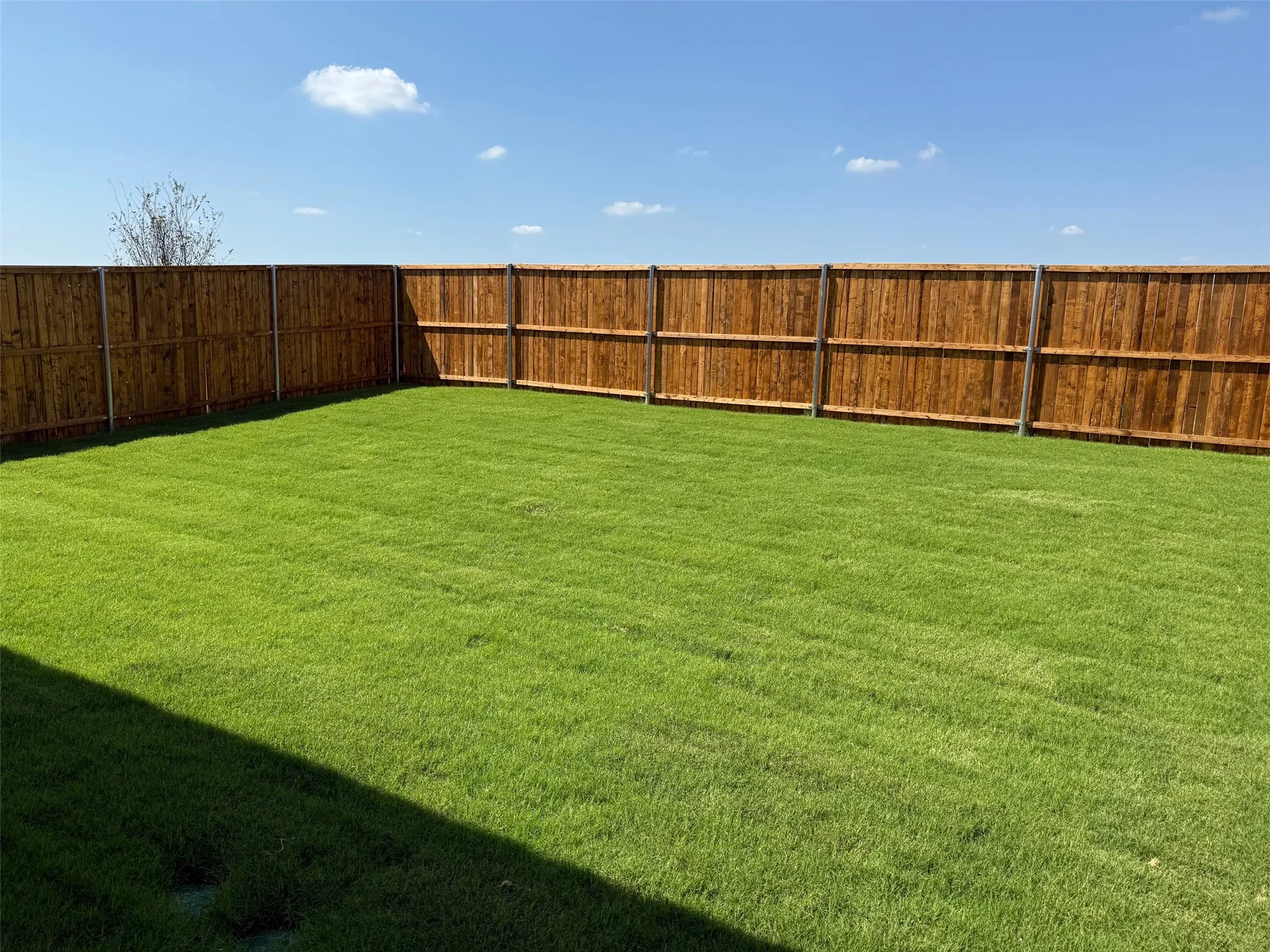 Large backyard!