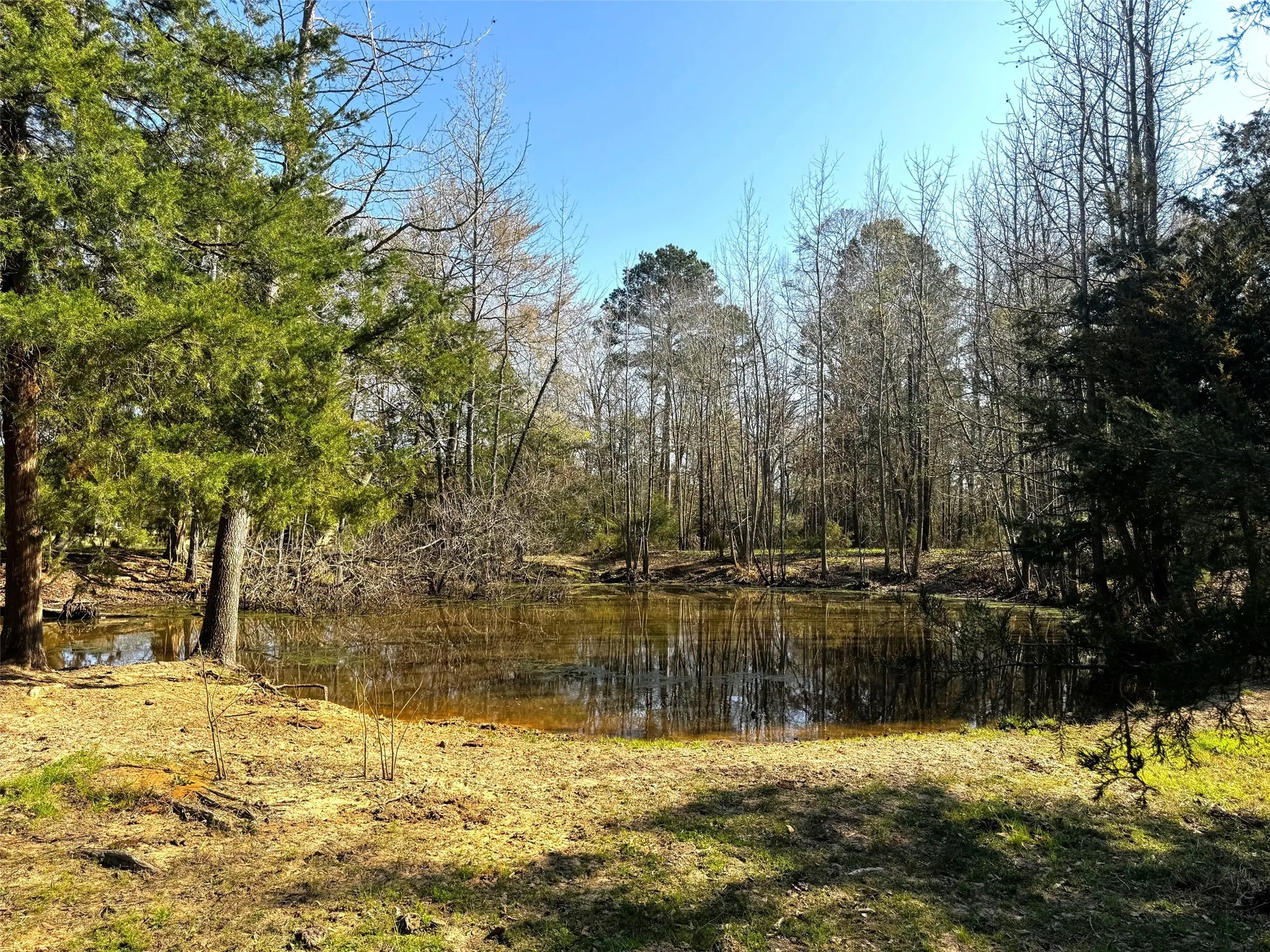 Improved Land For Sale in Camp County , TBD CR 3545, Leesburg, Texas 75451, 0, 0, Garage spaces, 0 Sqft, built in 0, mls#21377515, Real Estate Agent in Leesburg, Homes For Sale in Camp county, Homes For Sale in Leesburg, Realtor in Leesburg Texas, Real Estate Brokerage Independent Realty Texas, Luminita Cordes Realtor