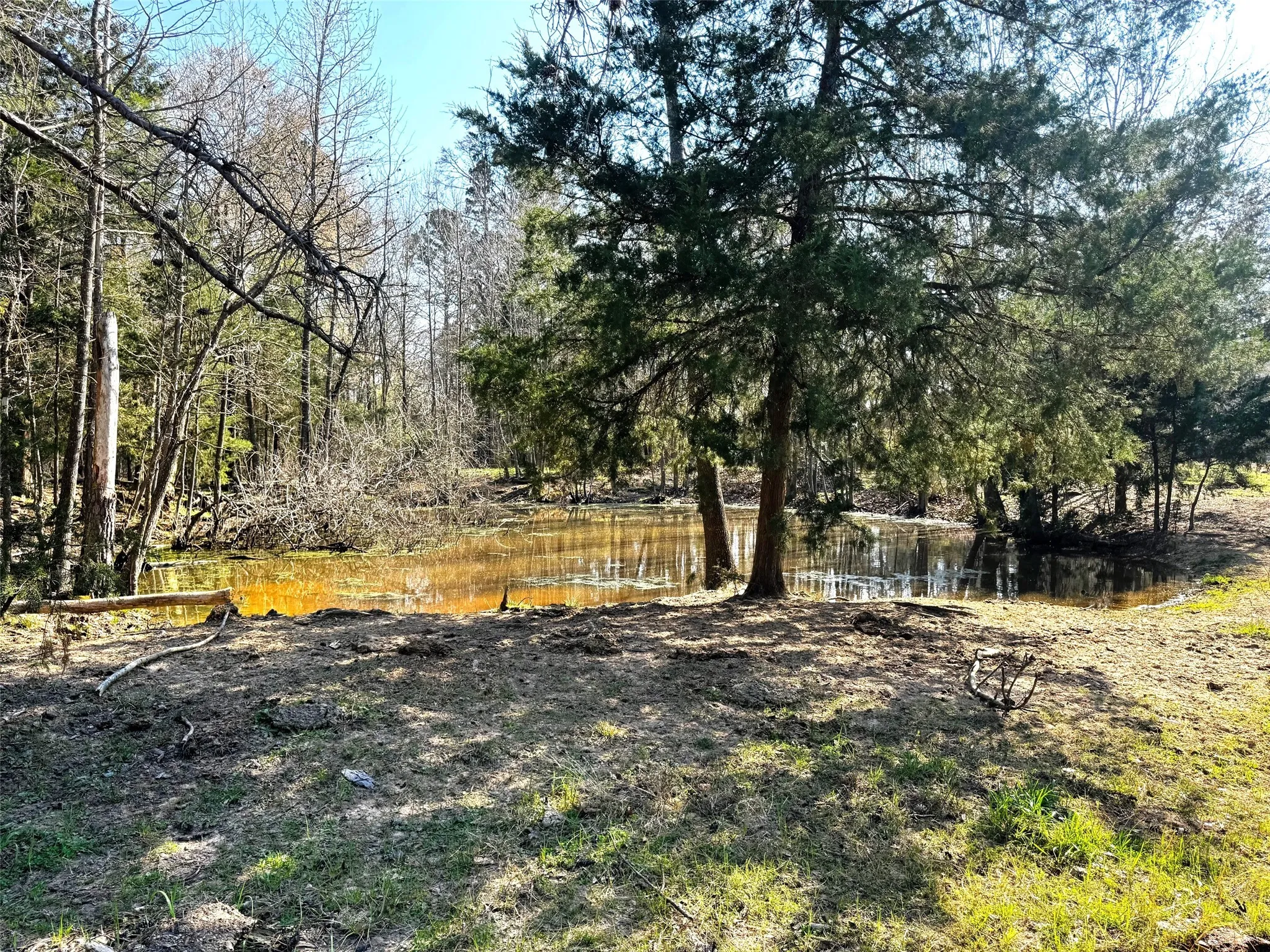 Improved Land For Sale in Camp County , TBD CR 3545, Leesburg, Texas 75451, 0, 0, Garage spaces, 0 Sqft, built in 0, mls#21377515, Real Estate Agent in Leesburg, Homes For Sale in Camp county, Homes For Sale in Leesburg, Realtor in Leesburg Texas, Real Estate Brokerage Independent Realty Texas, Luminita Cordes Realtor