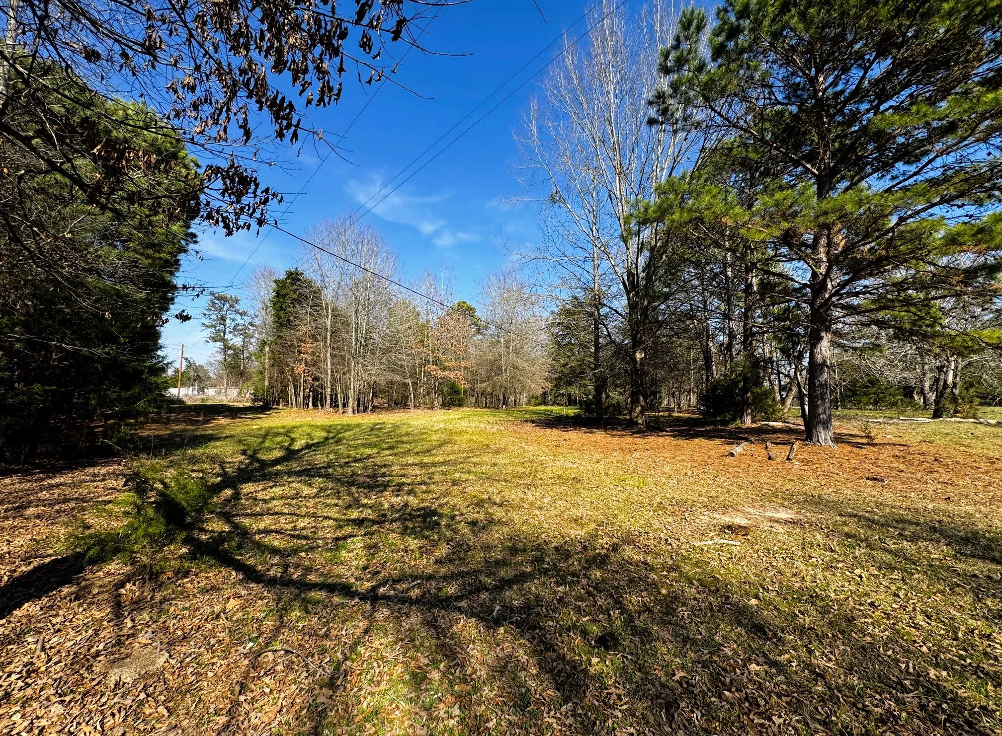 Improved Land For Sale in Camp County , TBD CR 3545, Leesburg, Texas 75451, 0, 0, Garage spaces, 0 Sqft, built in 0, mls#21377515, Real Estate Agent in Leesburg, Homes For Sale in Camp county, Homes For Sale in Leesburg, Realtor in Leesburg Texas, Real Estate Brokerage Independent Realty Texas, Luminita Cordes Realtor