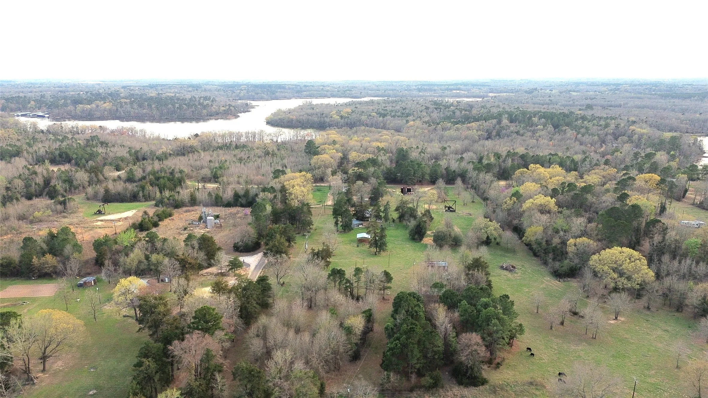 Improved Land For Sale in Camp County , TBD CR 3545, Leesburg, Texas 75451, 0, 0, Garage spaces, 0 Sqft, built in 0, mls#21377515, Real Estate Agent in Leesburg, Homes For Sale in Camp county, Homes For Sale in Leesburg, Realtor in Leesburg Texas, Real Estate Brokerage Independent Realty Texas, Luminita Cordes Realtor