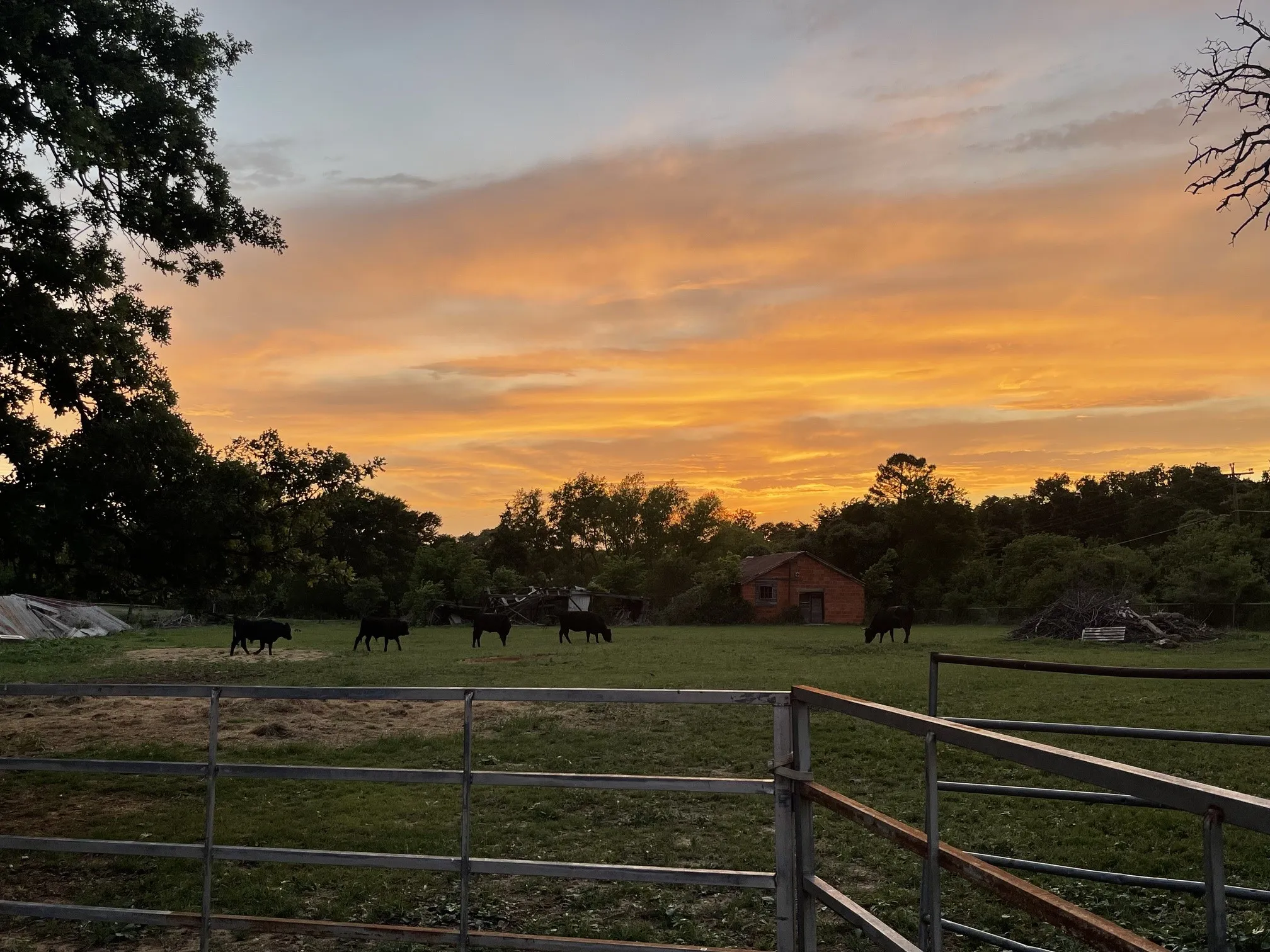 Single Family Residence For Sale in Parker County , 8475 Peden Road, Reno, Texas 76020, 3 Bedroom, 2 Bathroom, Garage spaces, 2,800 Sqft, built in 1920, mls#21376738, Real Estate Agent in Reno, Homes For Sale in Parker county, Homes For Sale in Reno, Realtor in Reno Texas, Real Estate Brokerage Independent Realty Texas, Luminita Cordes Realtor
