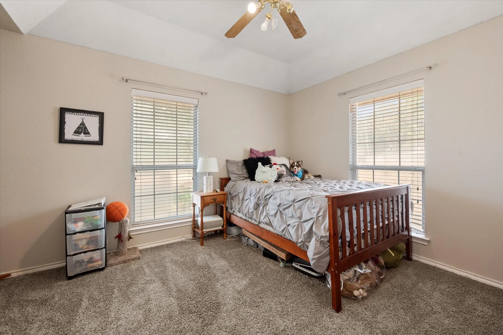 Tray ceiling, ceiling fan with light kit, two large windows with blinds, and neutral-toned carpeting