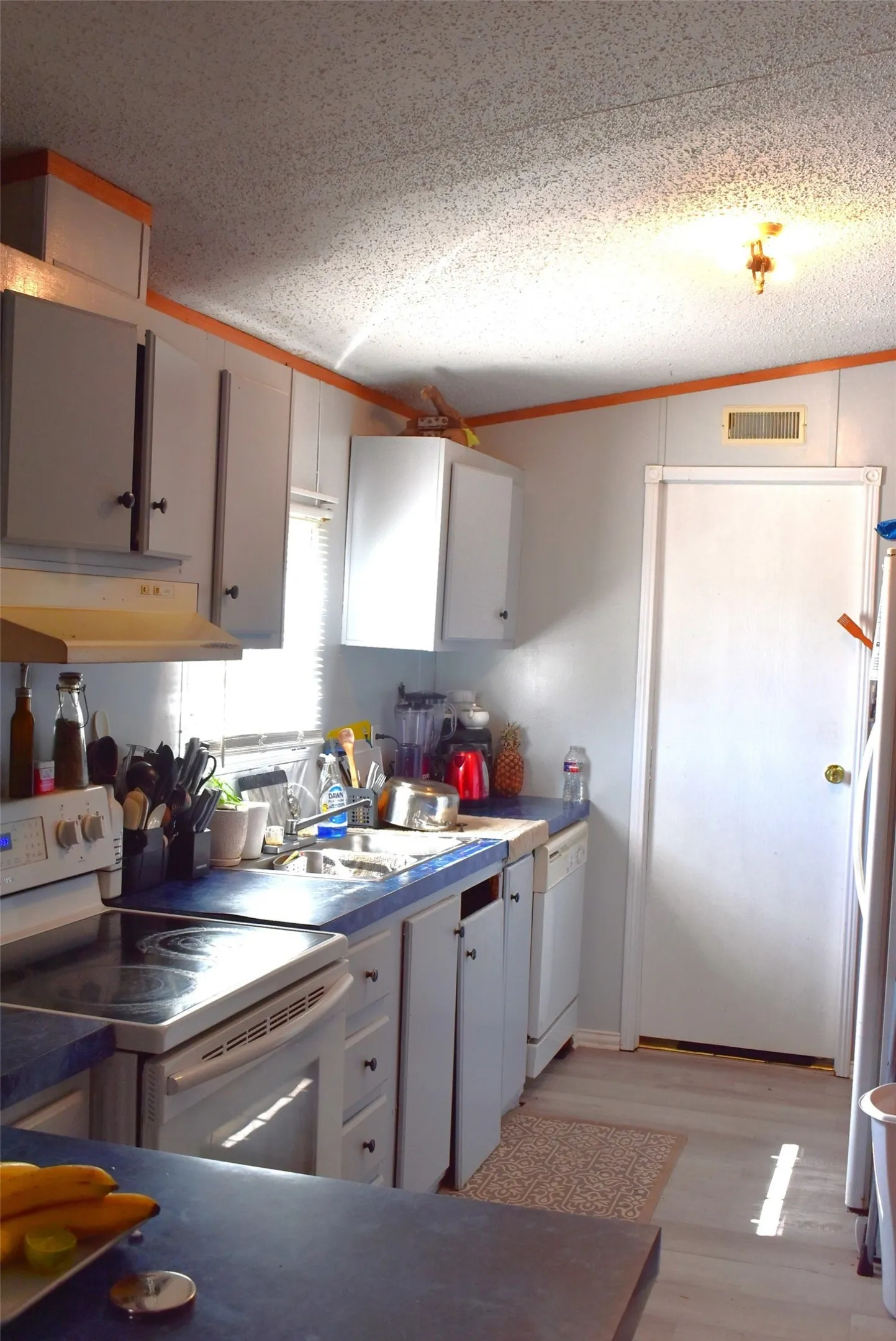 Manufactured Home For Sale in Hopkins County , 195 County Road 2468, Winnsboro, Texas 75494, 3 Bedroom, 2 Bathroom, Garage spaces, 840 Sqft, built in 2000, mls#21377579, Real Estate Agent in Winnsboro, Homes For Sale in Hopkins county, Homes For Sale in Winnsboro, Realtor in Winnsboro Texas, Real Estate Brokerage Independent Realty Texas, Luminita Cordes Realtor