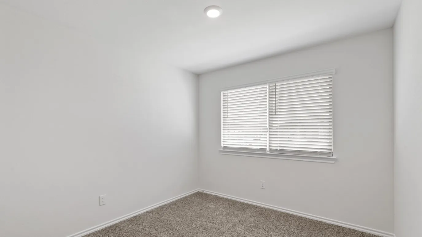 Neutral wall color, window with blinds, recessed ceiling light, and carpet flooring