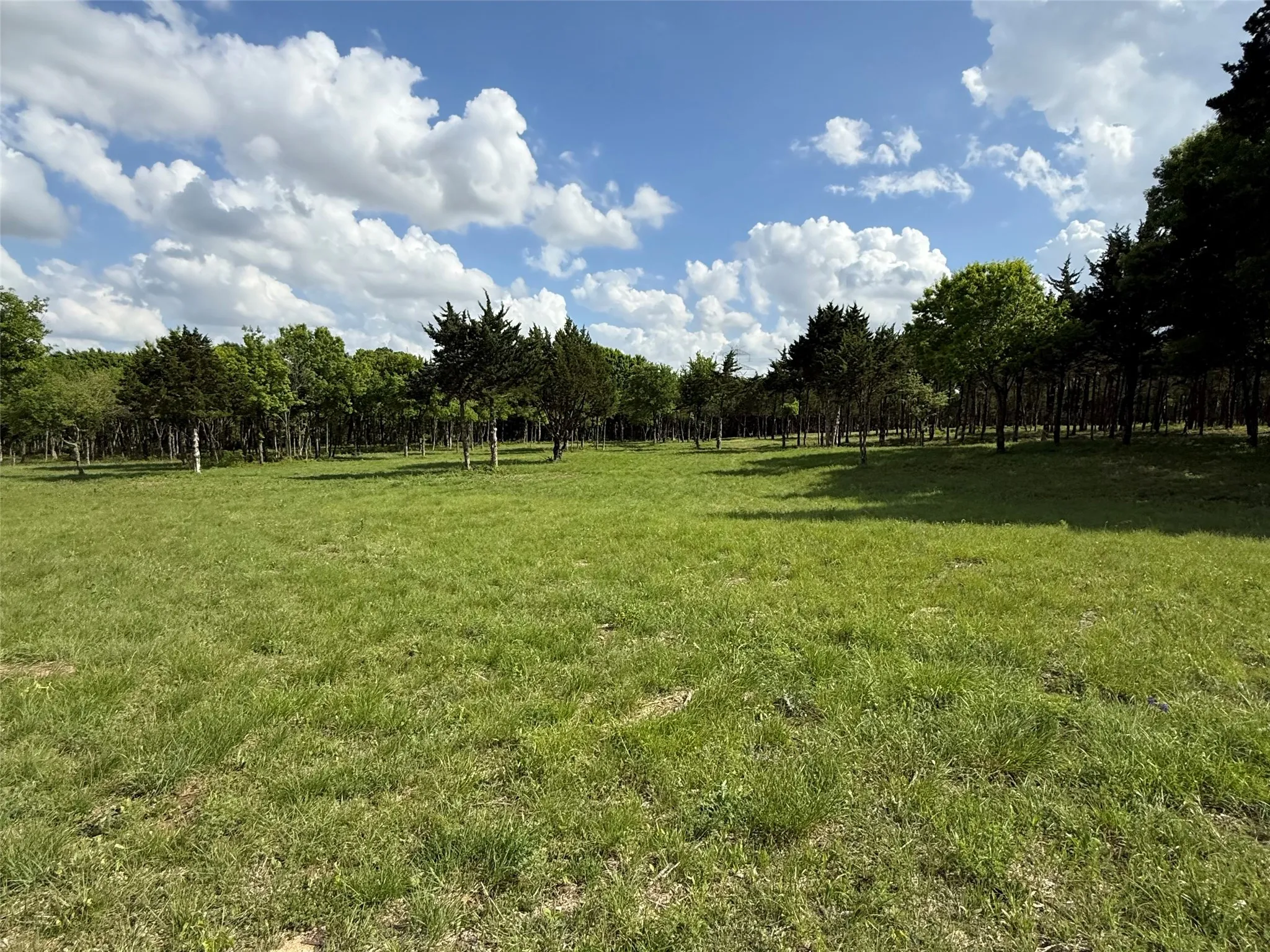 Unimproved Land For Sale in Dallas County , 721 Rayburn Drive, De Soto, Texas 75115, 0, 0, Garage spaces, 0 Sqft, built in 0, mls#21377938, Real Estate Agent in De Soto, Homes For Sale in Dallas county, Homes For Sale in De Soto, Realtor in De Soto Texas, Real Estate Brokerage Independent Realty Texas, Luminita Cordes Realtor