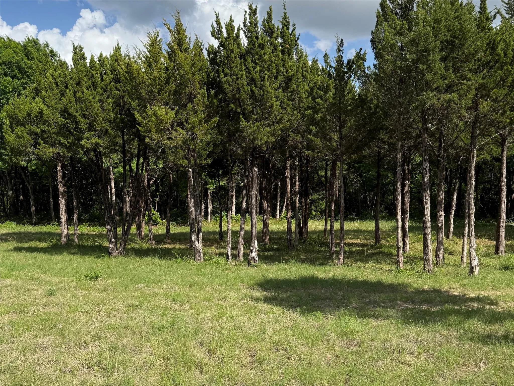 Unimproved Land For Sale in Dallas County , 721 Rayburn Drive, De Soto, Texas 75115, 0, 0, Garage spaces, 0 Sqft, built in 0, mls#21377938, Real Estate Agent in De Soto, Homes For Sale in Dallas county, Homes For Sale in De Soto, Realtor in De Soto Texas, Real Estate Brokerage Independent Realty Texas, Luminita Cordes Realtor