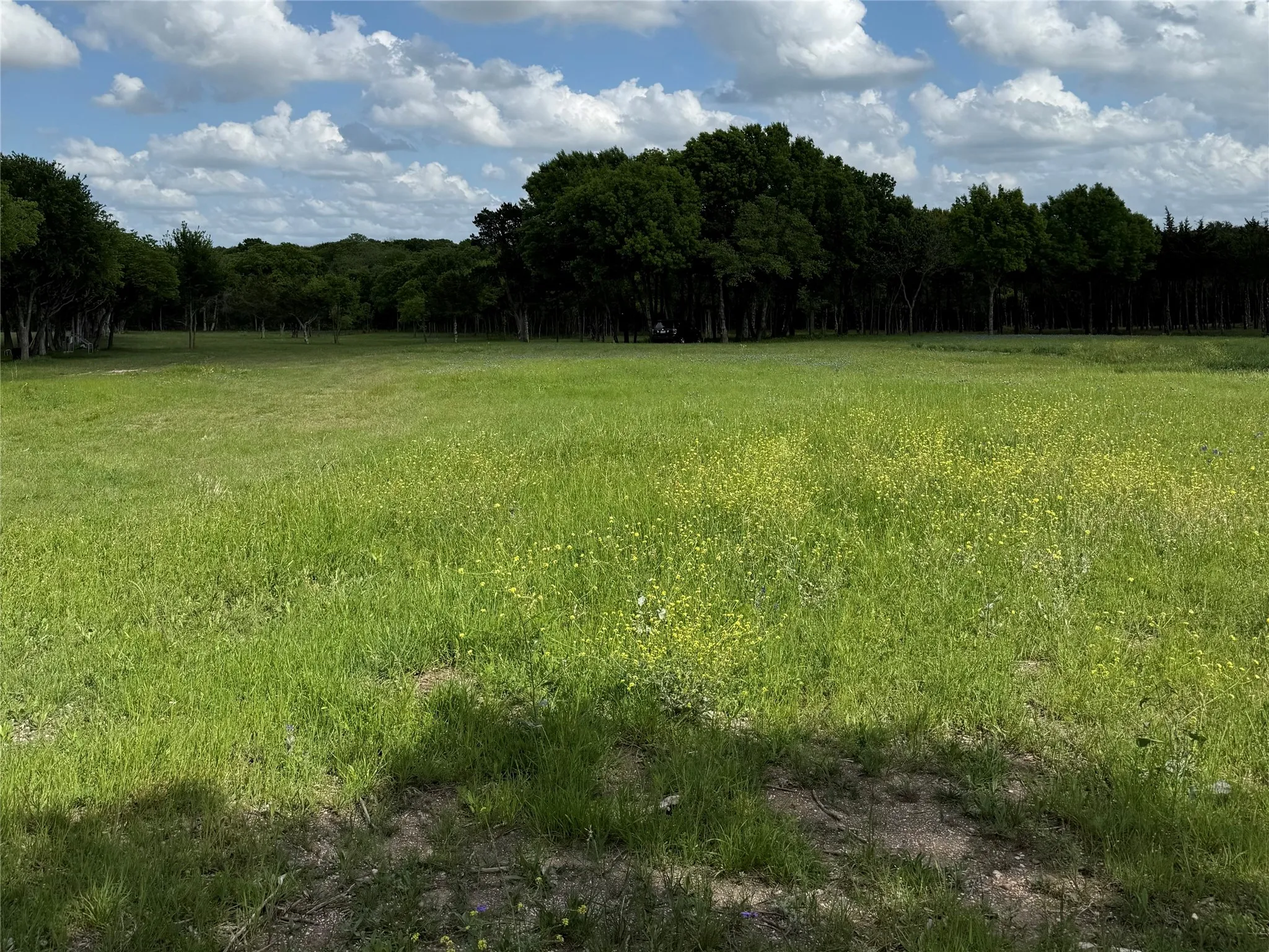 Unimproved Land For Sale in Dallas County , 721 Rayburn Drive, De Soto, Texas 75115, 0, 0, Garage spaces, 0 Sqft, built in 0, mls#21377938, Real Estate Agent in De Soto, Homes For Sale in Dallas county, Homes For Sale in De Soto, Realtor in De Soto Texas, Real Estate Brokerage Independent Realty Texas, Luminita Cordes Realtor