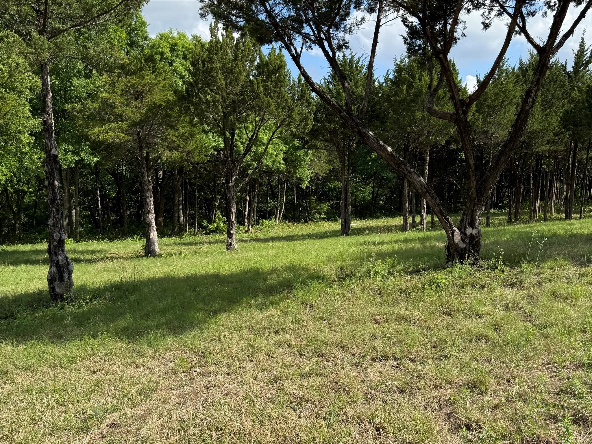 Unimproved Land For Sale in Dallas County , 721 Rayburn Drive, De Soto, Texas 75115, 0, 0, Garage spaces, 0 Sqft, built in 0, mls#21377938, Real Estate Agent in De Soto, Homes For Sale in Dallas county, Homes For Sale in De Soto, Realtor in De Soto Texas, Real Estate Brokerage Independent Realty Texas, Luminita Cordes Realtor
