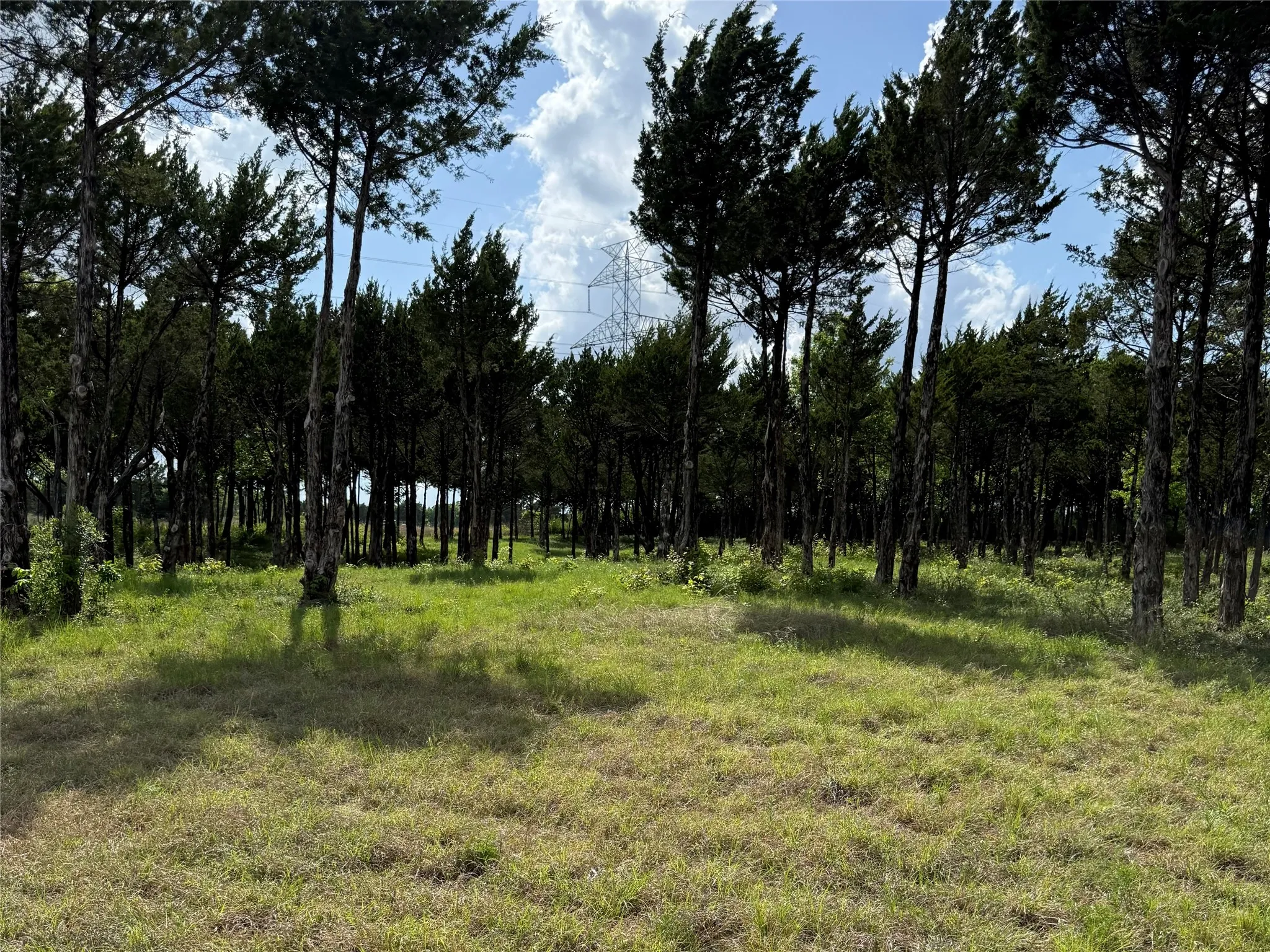 Unimproved Land For Sale in Dallas County , 721 Rayburn Drive, De Soto, Texas 75115, 0, 0, Garage spaces, 0 Sqft, built in 0, mls#21377938, Real Estate Agent in De Soto, Homes For Sale in Dallas county, Homes For Sale in De Soto, Realtor in De Soto Texas, Real Estate Brokerage Independent Realty Texas, Luminita Cordes Realtor