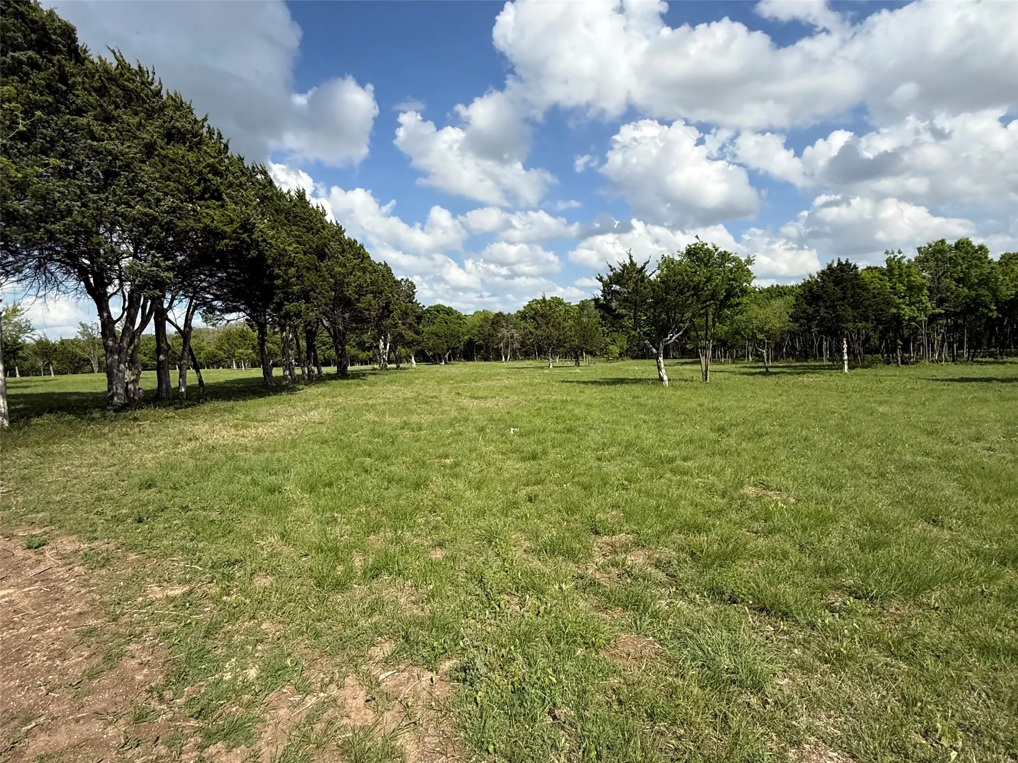 Unimproved Land For Sale in Dallas County , 721 Rayburn Drive, De Soto, Texas 75115, 0, 0, Garage spaces, 0 Sqft, built in 0, mls#21377938, Real Estate Agent in De Soto, Homes For Sale in Dallas county, Homes For Sale in De Soto, Realtor in De Soto Texas, Real Estate Brokerage Independent Realty Texas, Luminita Cordes Realtor