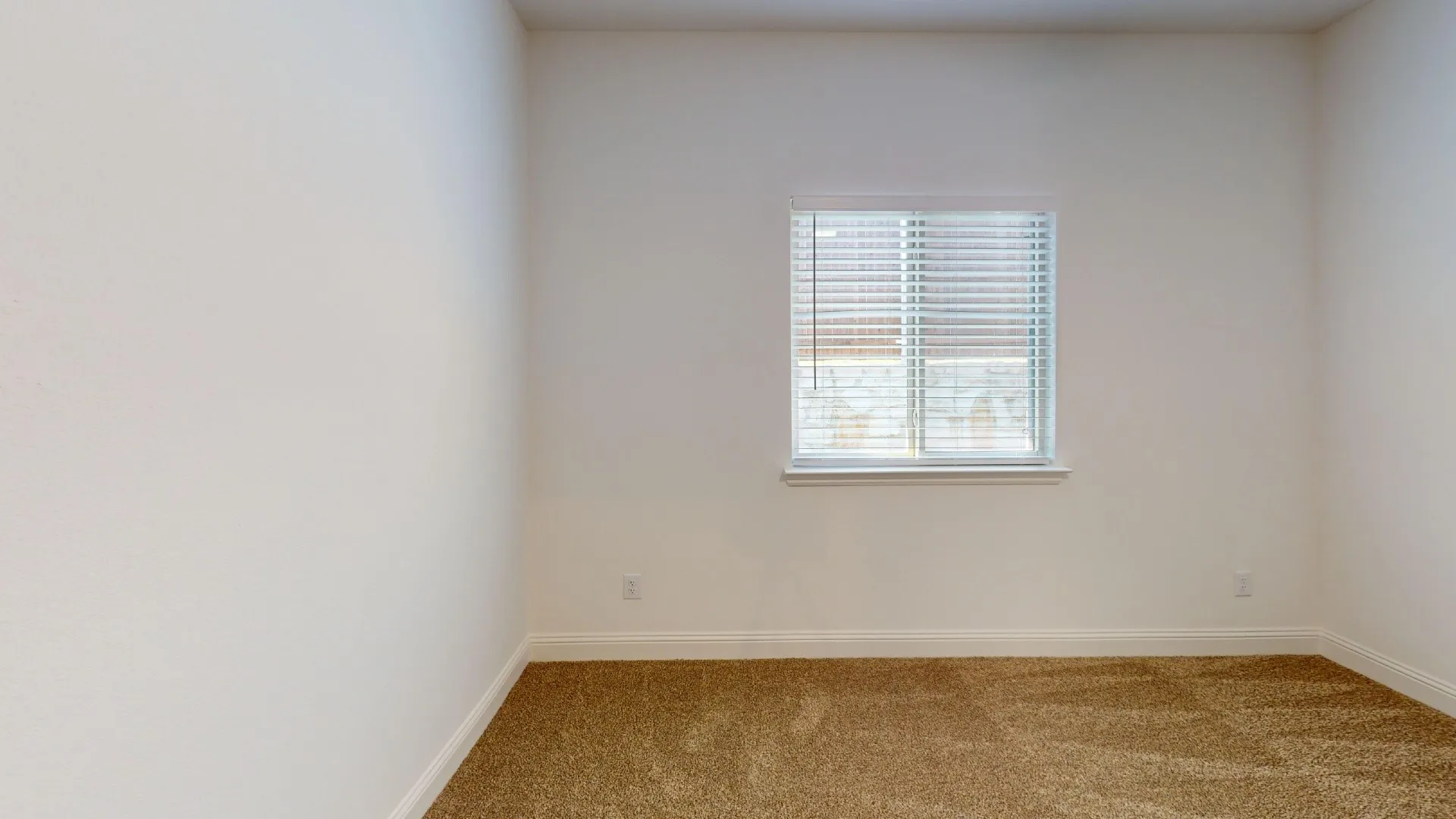 Neutral wall finishes, window with horizontal blinds, and carpeted flooring