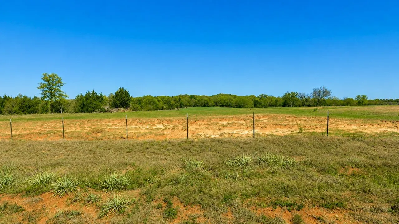Expansive undeveloped land featuring a clear blue sky, a line of mature trees.
