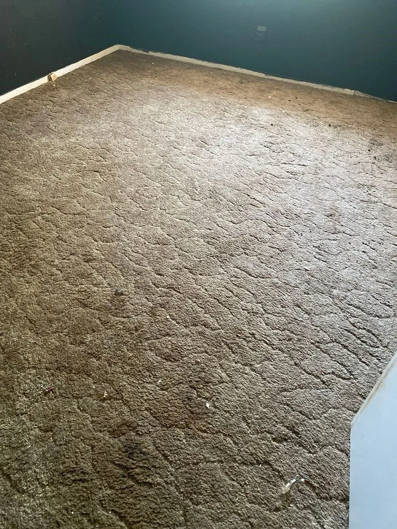 Townhouse For Sale in Taylor County , 4631 N 2nd Street, Abilene, Texas 79603, 4 Bedroom, 2 Bathroom, 1 Garage spaces, 2,200 Sqft, built in 1964, mls#21377944, Real Estate Agent in Abilene, Homes For Sale in Taylor county, Homes For Sale in Abilene, Realtor in Abilene Texas, Real Estate Brokerage Independent Realty Texas, Luminita Cordes Realtor