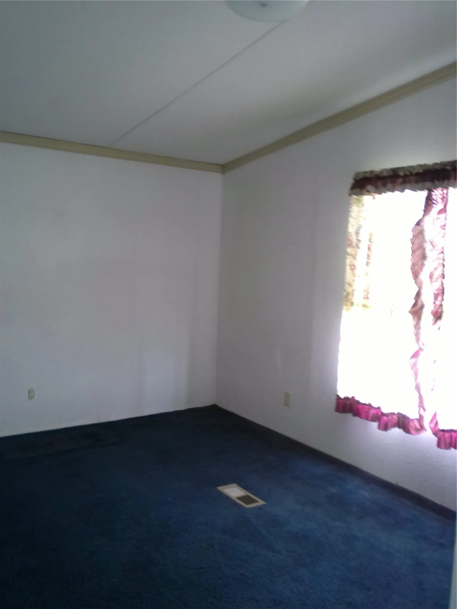 Manufactured Home For Sale in Collin County , 1434 County Road 490, Princeton, Texas 75407, 3 Bedroom, 2 Bathroom, Garage spaces, 1,536 Sqft, built in 1998, mls#21377965, Real Estate Agent in Princeton, Homes For Sale in Collin county, Homes For Sale in Princeton, Realtor in Princeton Texas, Real Estate Brokerage Independent Realty Texas, Luminita Cordes Realtor