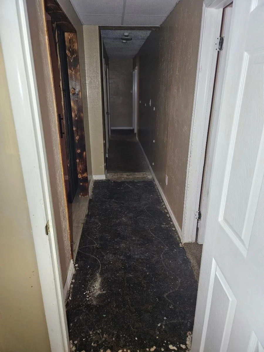Single Family Residence For Sale in Wichita County , 4709 Gay Street, Wichita Falls, Texas 76306, 4 Bedroom, 3 Bathroom, 1 Garage spaces, 1,968 Sqft, built in 1962, mls#21377946, Real Estate Agent in Wichita Falls, Homes For Sale in Wichita county, Homes For Sale in Wichita Falls, Realtor in Wichita Falls Texas, Real Estate Brokerage Independent Realty Texas, Luminita Cordes Realtor