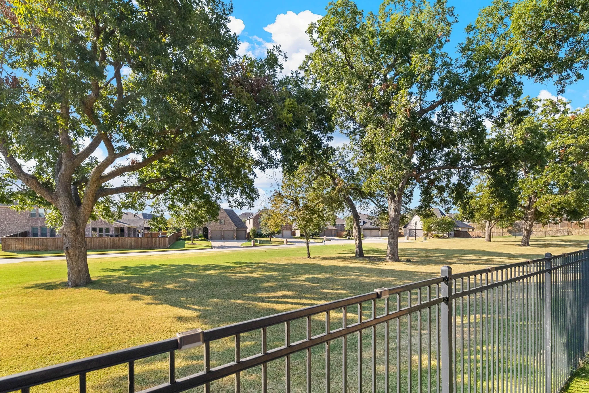 Backyard showcasing green space view.