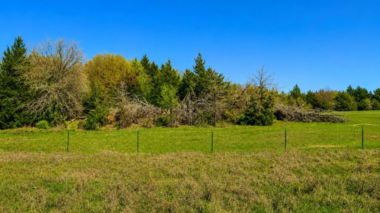 Expansive green field with a treeline border