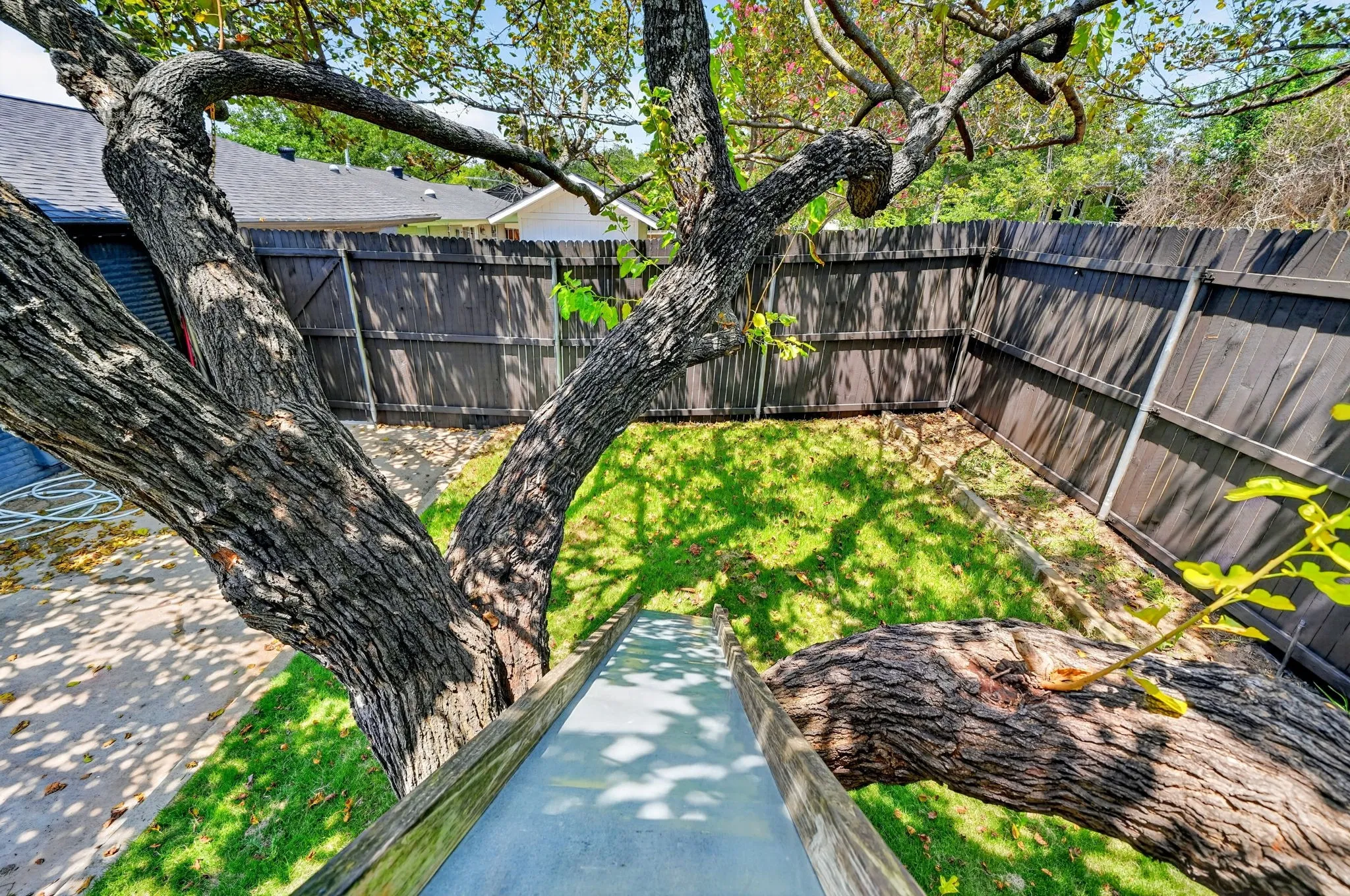 Expansive backyard featuring a mature tree, manicured lawn, and privacy fencing