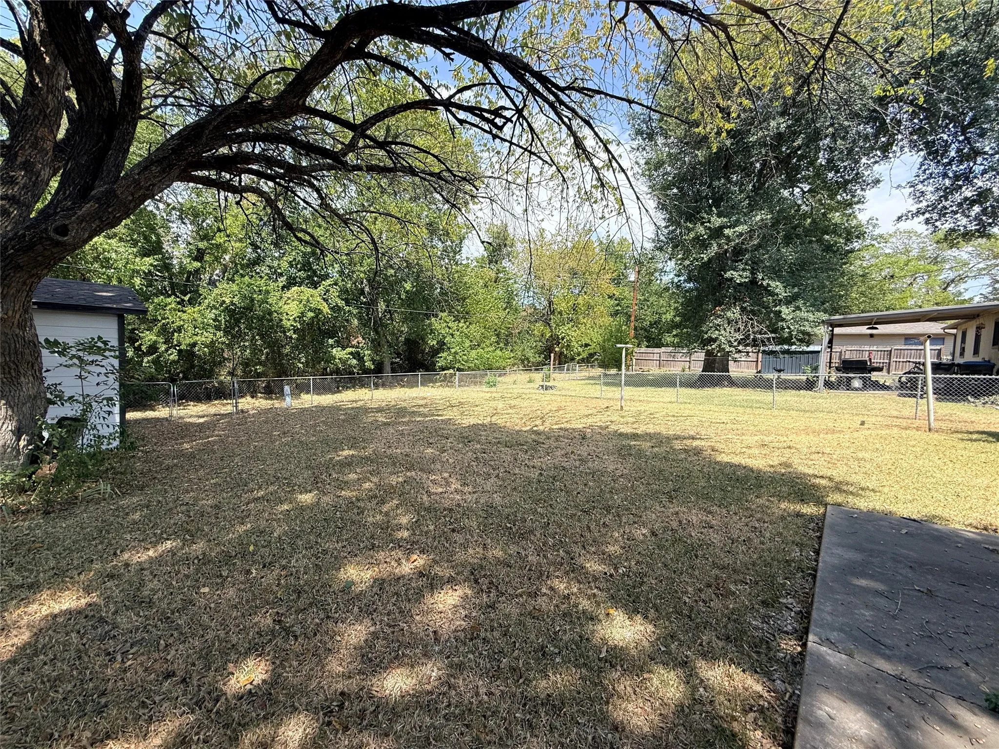 Expansive backyard with a chain-link fence, concrete patio, and mature trees providing natural shade