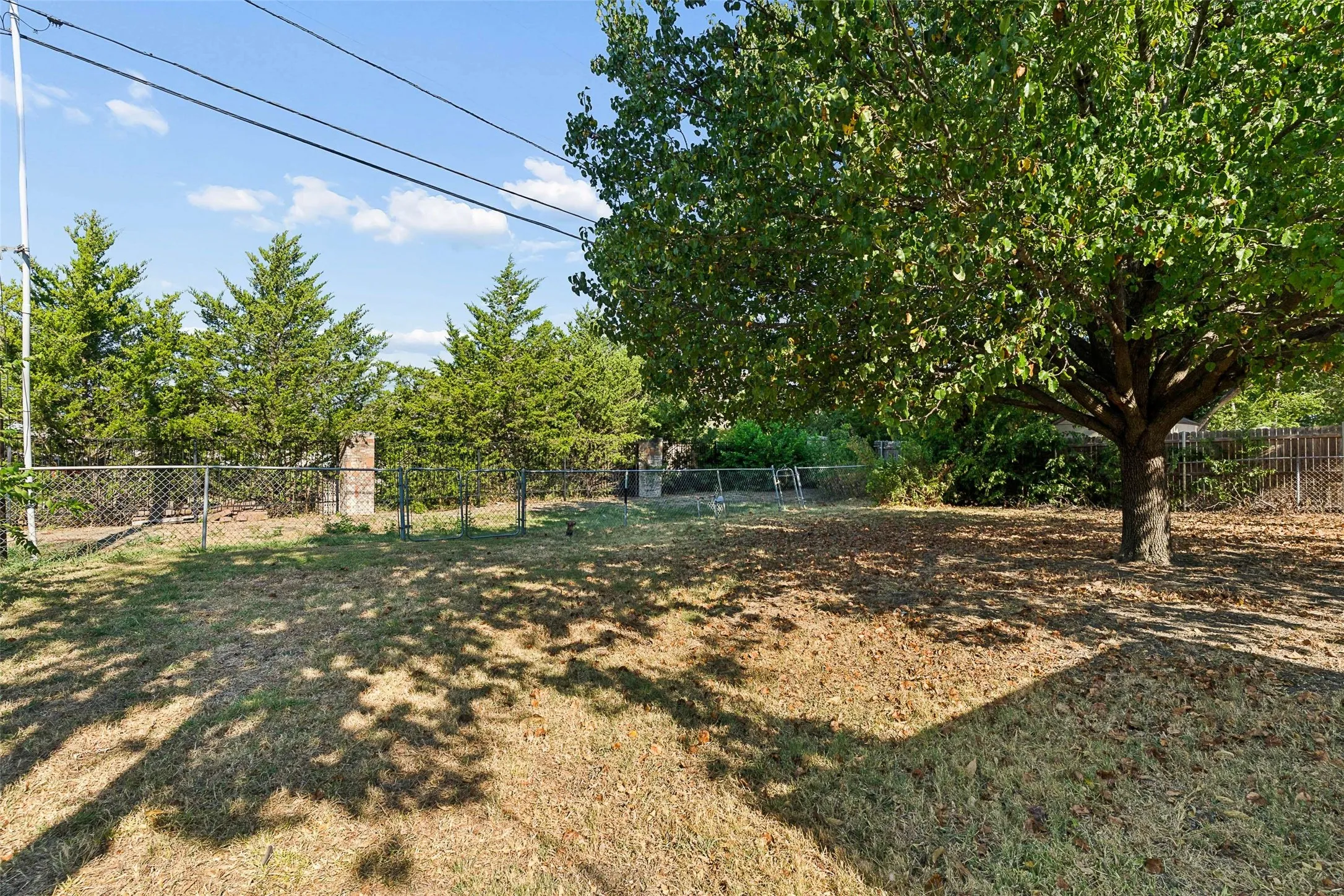 Expansive yard featuring mature trees and a chain-link fence