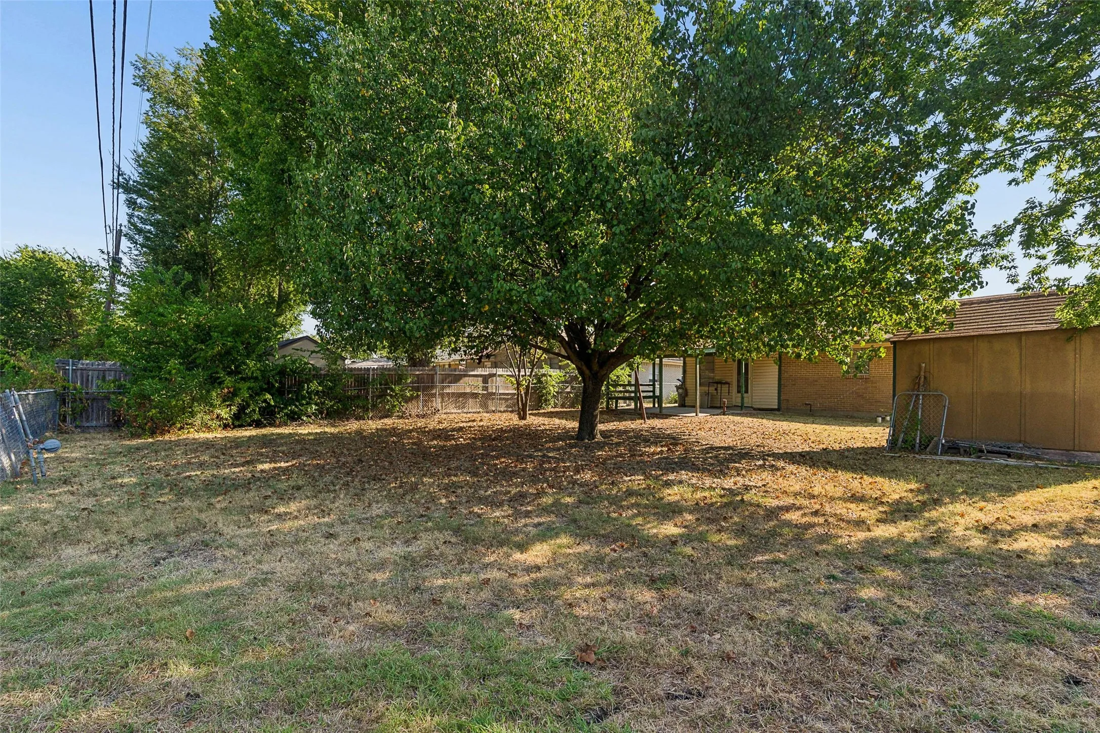 Expansive backyard featuring a mature shade tree, a covered patio, and a storage shed