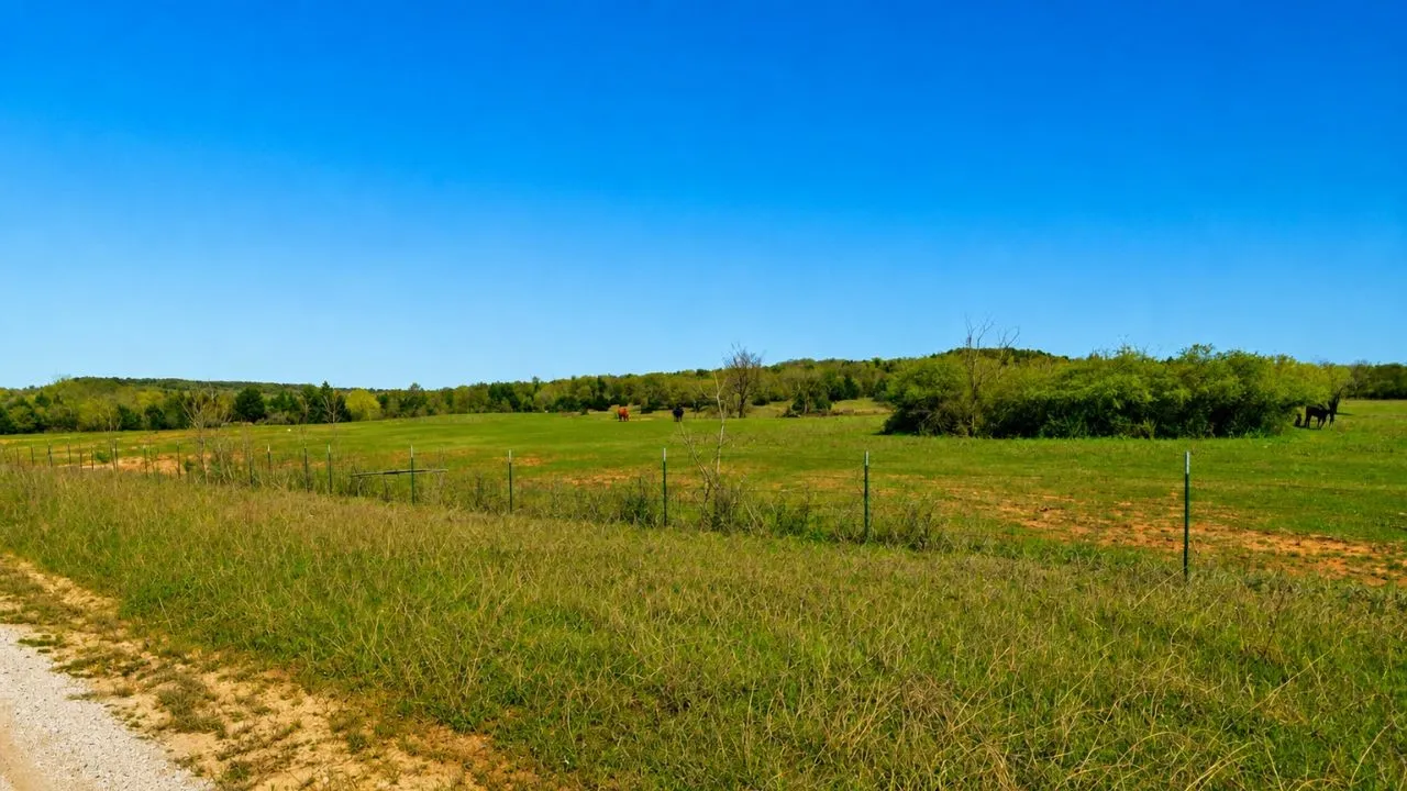 Unimproved Land For Sale