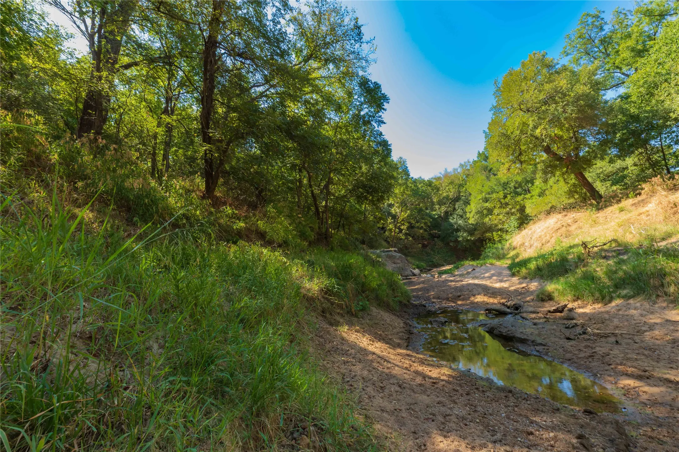 Ranch For Sale in Comanche County , 1282 CR 461, Gorman, Texas 76454, 0, 0, Garage spaces, 0 Sqft, built in 0, mls#21378044, Real Estate Agent in Gorman, Homes For Sale in Comanche county, Homes For Sale in Gorman, Realtor in Gorman Texas, Real Estate Brokerage Independent Realty Texas, Luminita Cordes Realtor