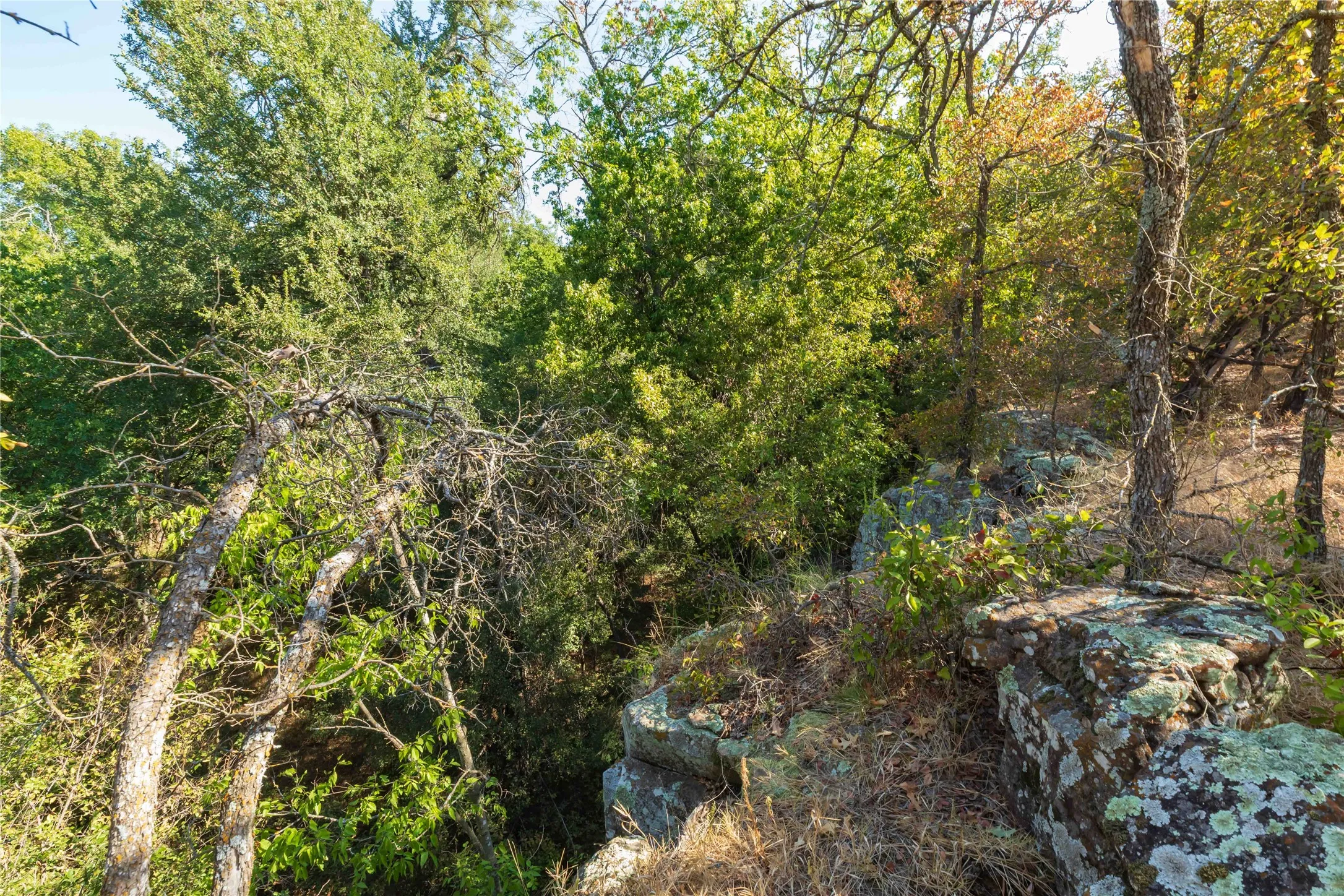 Ranch For Sale in Comanche County , 1282 CR 461, Gorman, Texas 76454, 0, 0, Garage spaces, 0 Sqft, built in 0, mls#21378044, Real Estate Agent in Gorman, Homes For Sale in Comanche county, Homes For Sale in Gorman, Realtor in Gorman Texas, Real Estate Brokerage Independent Realty Texas, Luminita Cordes Realtor