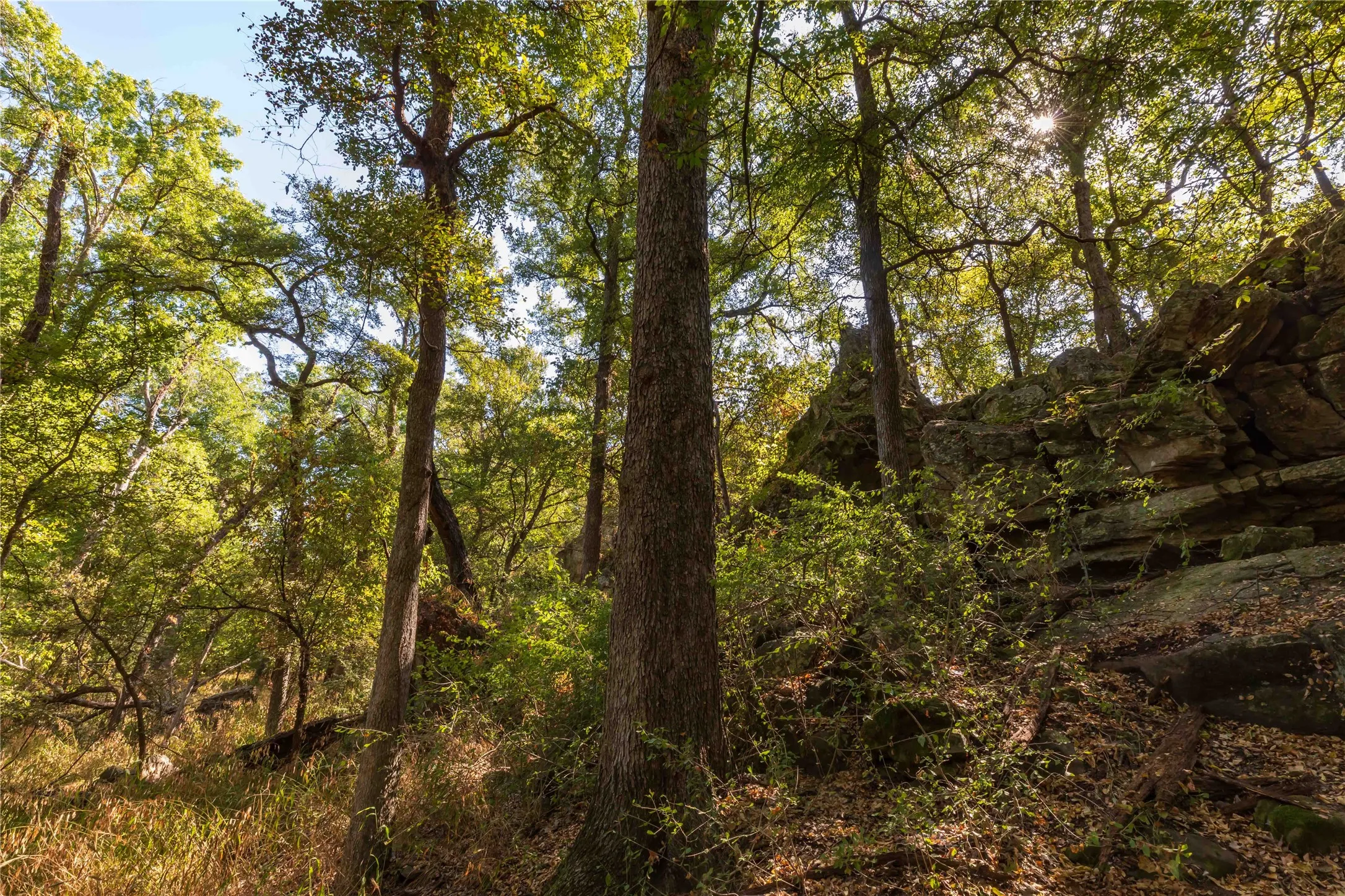 Ranch For Sale in Comanche County , 1282 CR 461, Gorman, Texas 76454, 0, 0, Garage spaces, 0 Sqft, built in 0, mls#21378044, Real Estate Agent in Gorman, Homes For Sale in Comanche county, Homes For Sale in Gorman, Realtor in Gorman Texas, Real Estate Brokerage Independent Realty Texas, Luminita Cordes Realtor