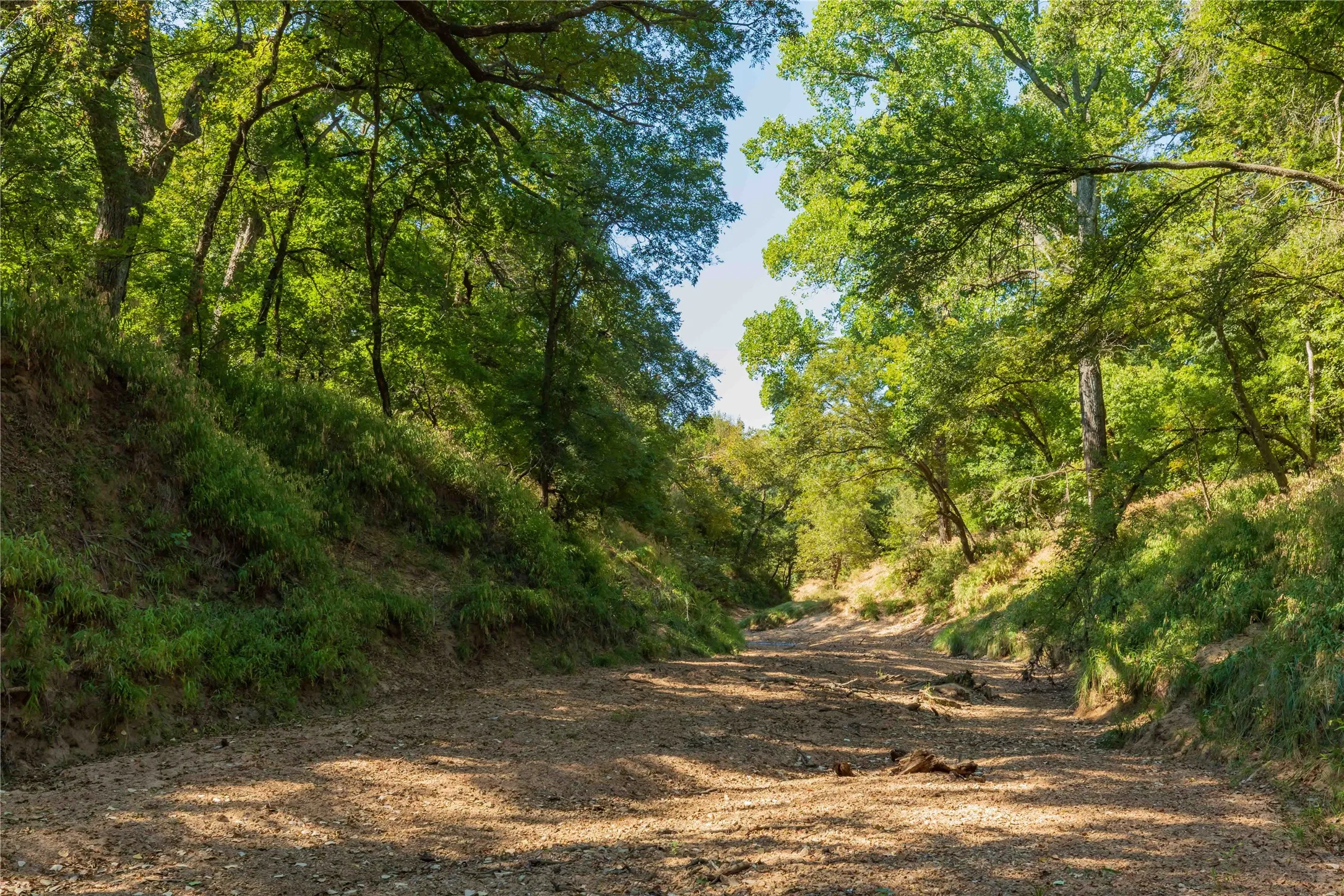 Ranch For Sale in Comanche County , 1282 CR 461, Gorman, Texas 76454, 0, 0, Garage spaces, 0 Sqft, built in 0, mls#21378044, Real Estate Agent in Gorman, Homes For Sale in Comanche county, Homes For Sale in Gorman, Realtor in Gorman Texas, Real Estate Brokerage Independent Realty Texas, Luminita Cordes Realtor