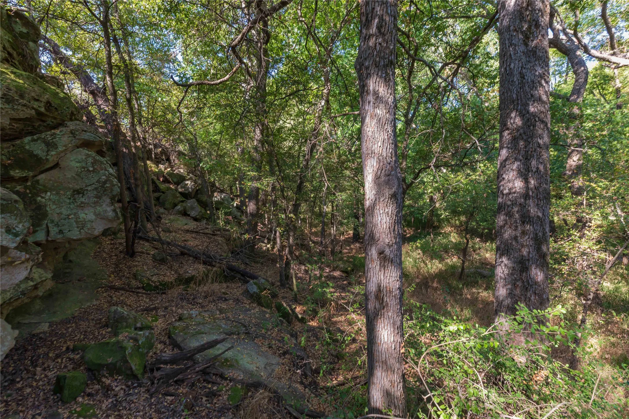 Ranch For Sale in Comanche County , 1282 CR 461, Gorman, Texas 76454, 0, 0, Garage spaces, 0 Sqft, built in 0, mls#21378044, Real Estate Agent in Gorman, Homes For Sale in Comanche county, Homes For Sale in Gorman, Realtor in Gorman Texas, Real Estate Brokerage Independent Realty Texas, Luminita Cordes Realtor