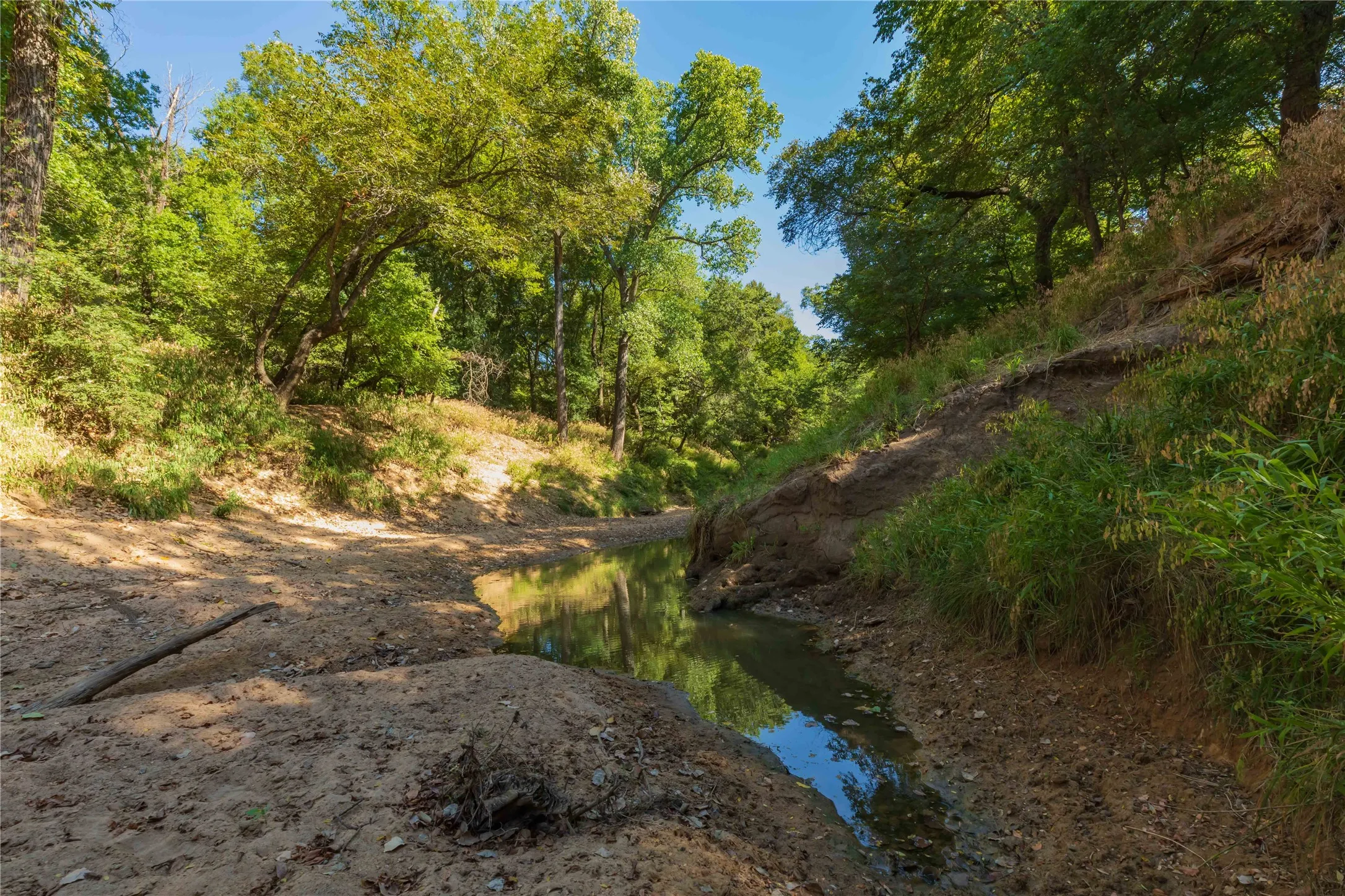 Ranch For Sale in Comanche County , 1282 CR 461, Gorman, Texas 76454, 0, 0, Garage spaces, 0 Sqft, built in 0, mls#21378044, Real Estate Agent in Gorman, Homes For Sale in Comanche county, Homes For Sale in Gorman, Realtor in Gorman Texas, Real Estate Brokerage Independent Realty Texas, Luminita Cordes Realtor