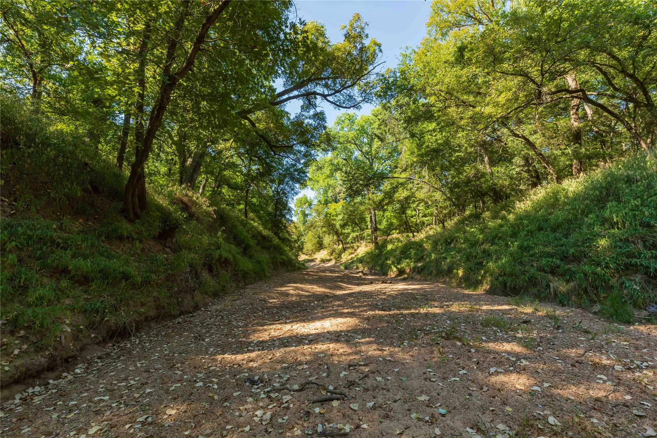 Ranch For Sale in Comanche County , 1282 CR 461, Gorman, Texas 76454, 0, 0, Garage spaces, 0 Sqft, built in 0, mls#21378044, Real Estate Agent in Gorman, Homes For Sale in Comanche county, Homes For Sale in Gorman, Realtor in Gorman Texas, Real Estate Brokerage Independent Realty Texas, Luminita Cordes Realtor