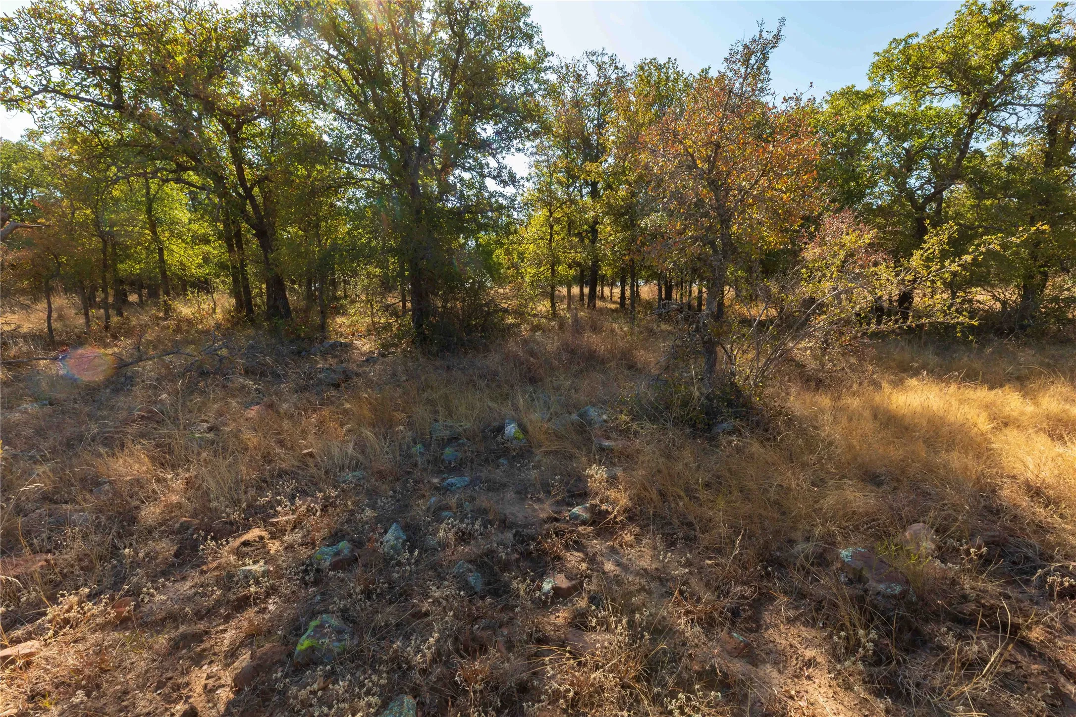 Ranch For Sale in Comanche County , 1282 CR 461, Gorman, Texas 76454, 0, 0, Garage spaces, 0 Sqft, built in 0, mls#21378044, Real Estate Agent in Gorman, Homes For Sale in Comanche county, Homes For Sale in Gorman, Realtor in Gorman Texas, Real Estate Brokerage Independent Realty Texas, Luminita Cordes Realtor