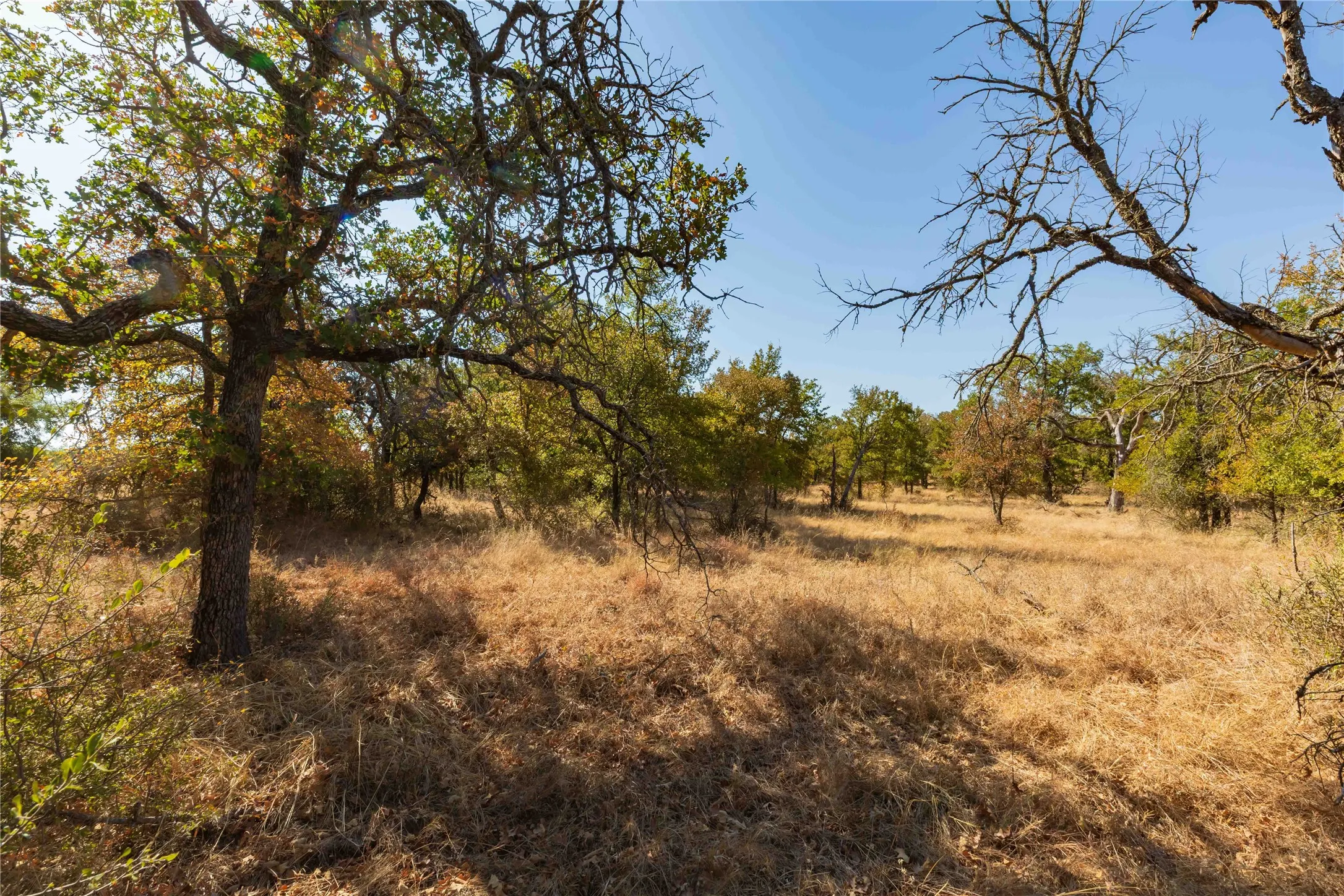 Ranch For Sale in Comanche County , 1282 CR 461, Gorman, Texas 76454, 0, 0, Garage spaces, 0 Sqft, built in 0, mls#21378044, Real Estate Agent in Gorman, Homes For Sale in Comanche county, Homes For Sale in Gorman, Realtor in Gorman Texas, Real Estate Brokerage Independent Realty Texas, Luminita Cordes Realtor