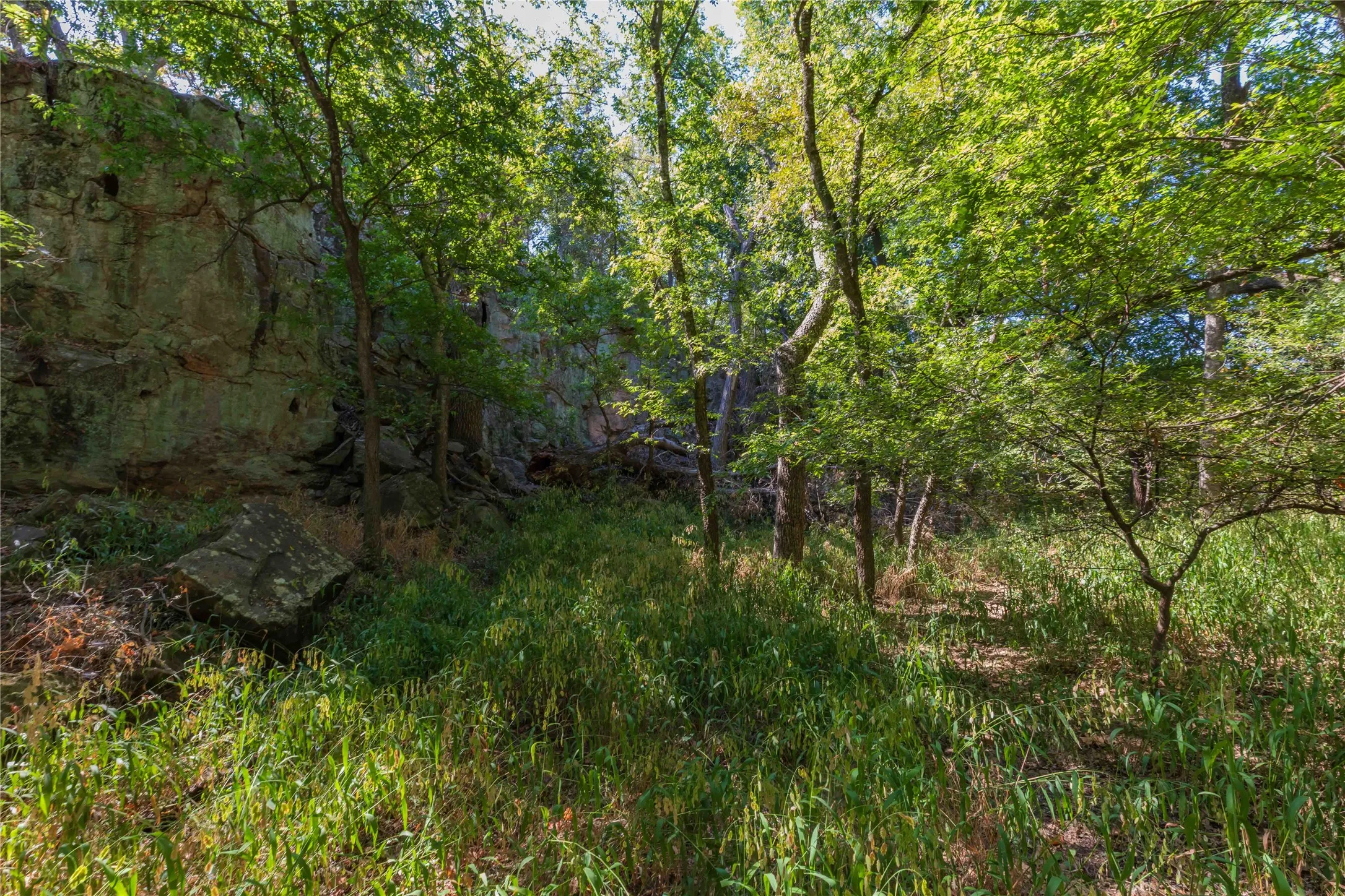 Ranch For Sale in Comanche County , 1282 CR 461, Gorman, Texas 76454, 0, 0, Garage spaces, 0 Sqft, built in 0, mls#21378044, Real Estate Agent in Gorman, Homes For Sale in Comanche county, Homes For Sale in Gorman, Realtor in Gorman Texas, Real Estate Brokerage Independent Realty Texas, Luminita Cordes Realtor