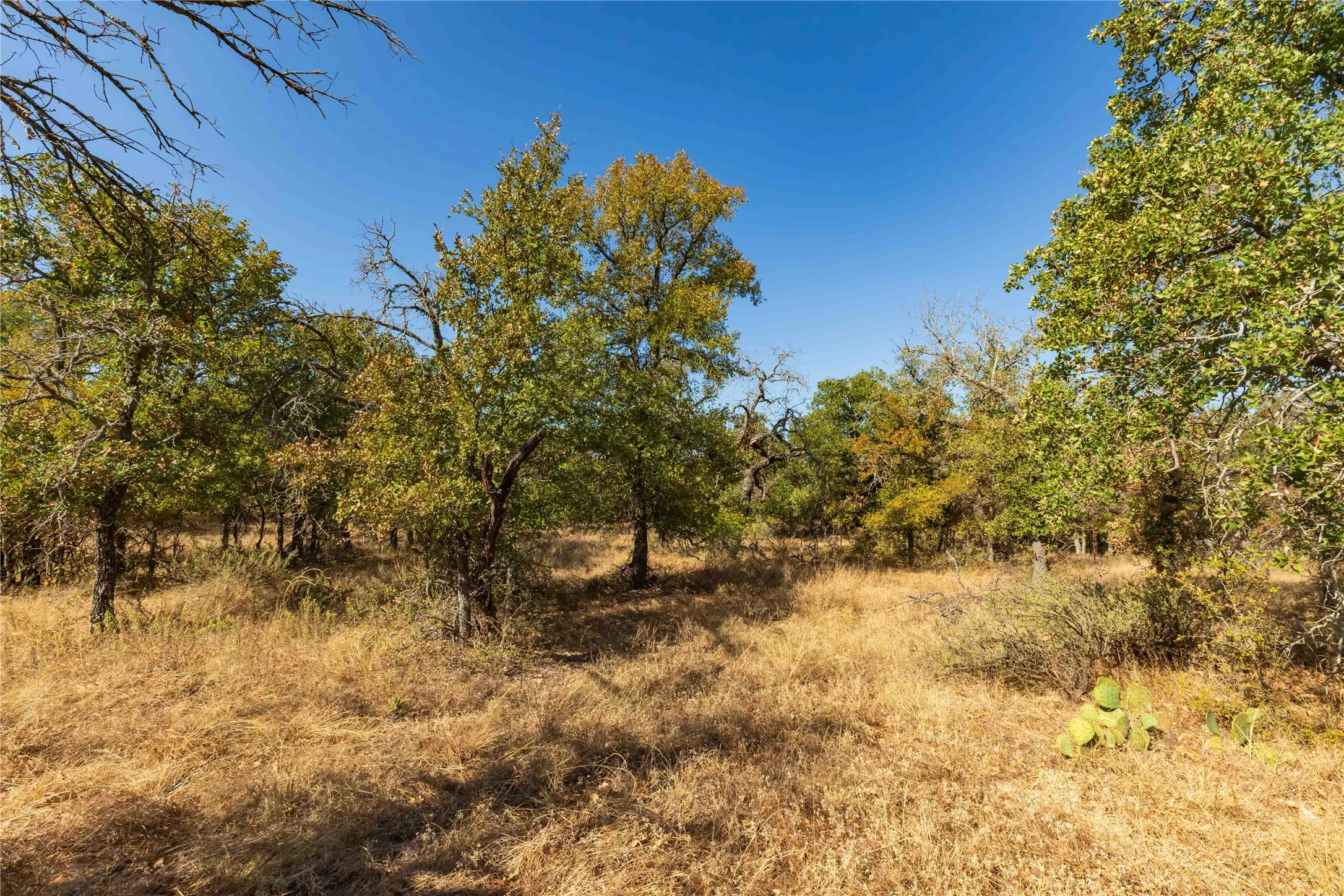 Ranch For Sale in Comanche County , 1282 CR 461, Gorman, Texas 76454, 0, 0, Garage spaces, 0 Sqft, built in 0, mls#21378044, Real Estate Agent in Gorman, Homes For Sale in Comanche county, Homes For Sale in Gorman, Realtor in Gorman Texas, Real Estate Brokerage Independent Realty Texas, Luminita Cordes Realtor