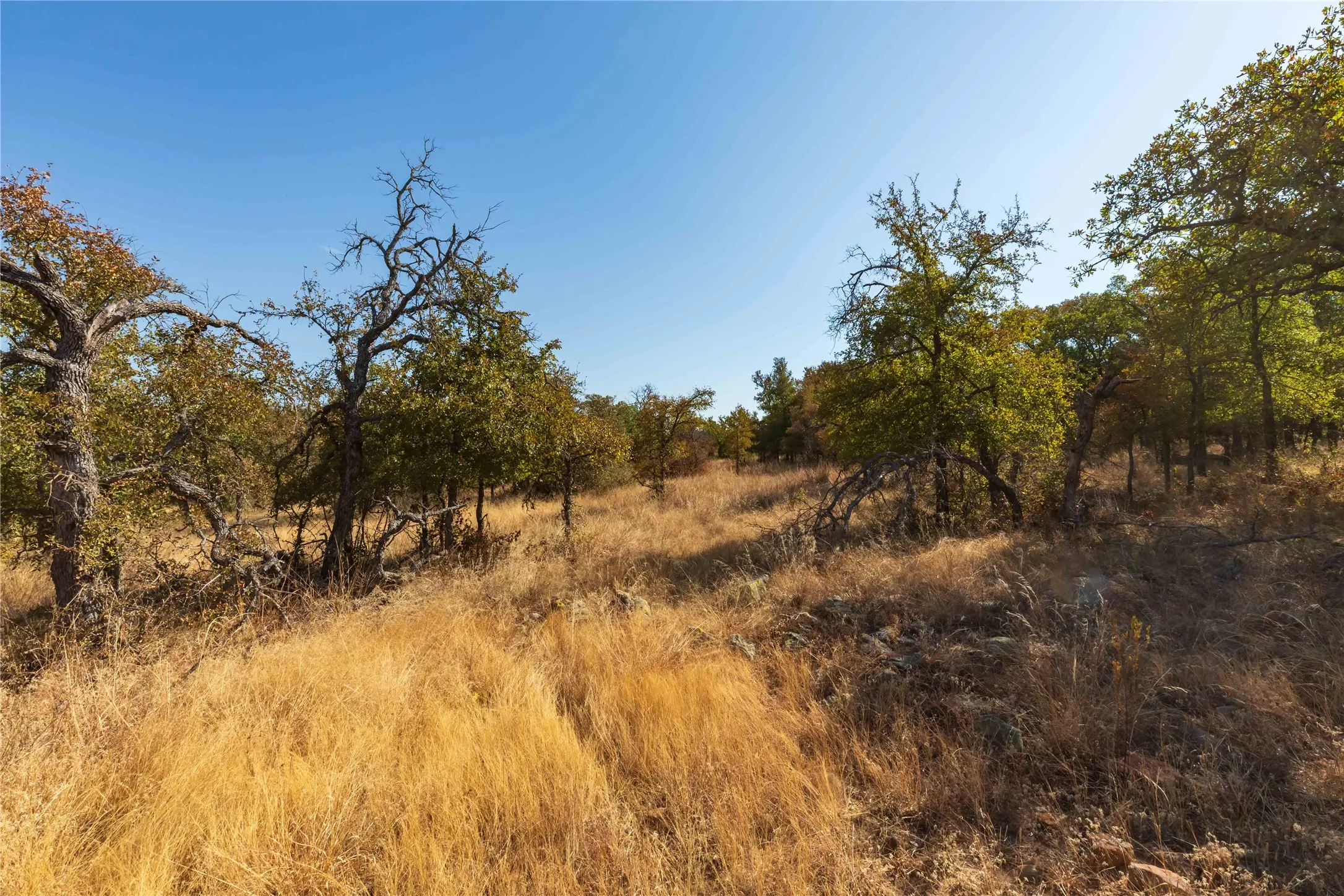 Ranch For Sale in Comanche County , 1282 CR 461, Gorman, Texas 76454, 0, 0, Garage spaces, 0 Sqft, built in 0, mls#21378044, Real Estate Agent in Gorman, Homes For Sale in Comanche county, Homes For Sale in Gorman, Realtor in Gorman Texas, Real Estate Brokerage Independent Realty Texas, Luminita Cordes Realtor