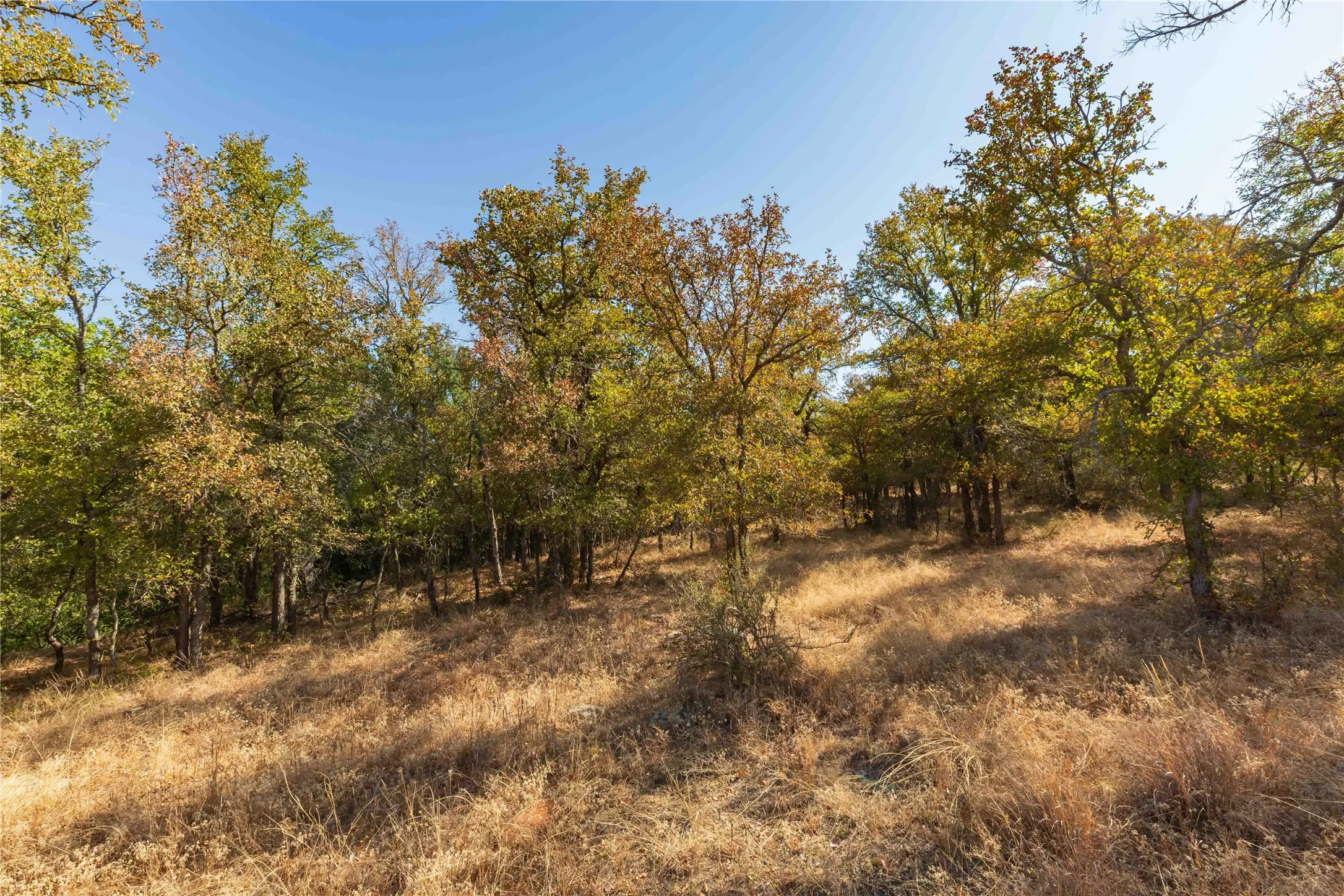 Ranch For Sale in Comanche County , 1282 CR 461, Gorman, Texas 76454, 0, 0, Garage spaces, 0 Sqft, built in 0, mls#21378044, Real Estate Agent in Gorman, Homes For Sale in Comanche county, Homes For Sale in Gorman, Realtor in Gorman Texas, Real Estate Brokerage Independent Realty Texas, Luminita Cordes Realtor