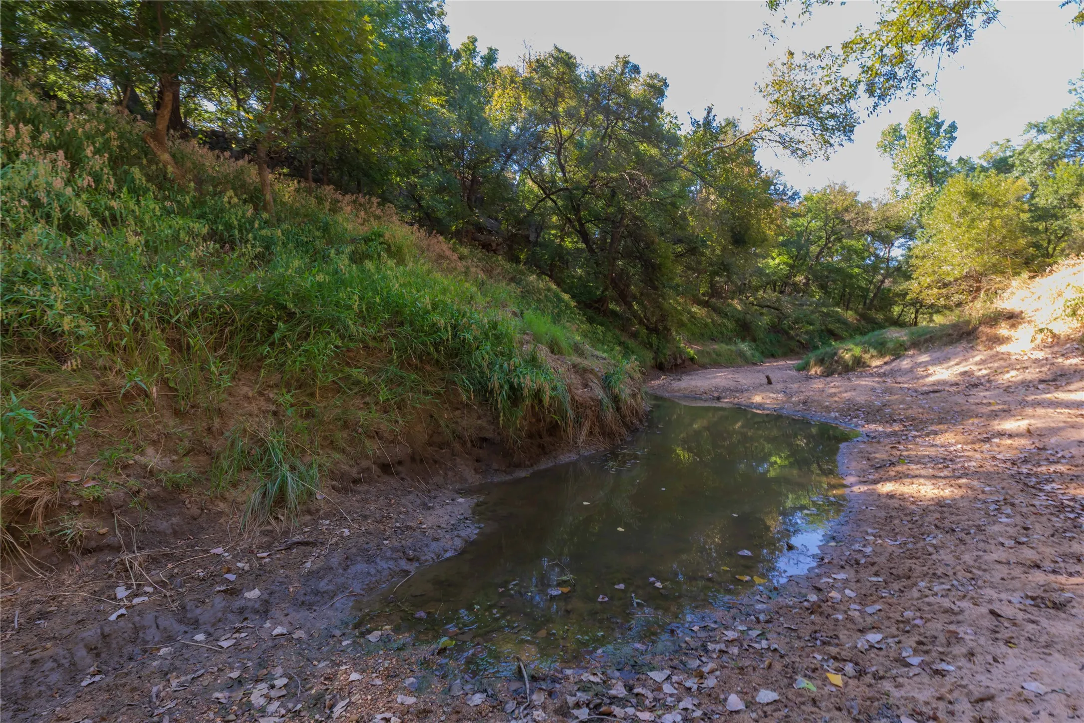 Ranch For Sale in Comanche County , 1282 CR 461, Gorman, Texas 76454, 0, 0, Garage spaces, 0 Sqft, built in 0, mls#21378044, Real Estate Agent in Gorman, Homes For Sale in Comanche county, Homes For Sale in Gorman, Realtor in Gorman Texas, Real Estate Brokerage Independent Realty Texas, Luminita Cordes Realtor