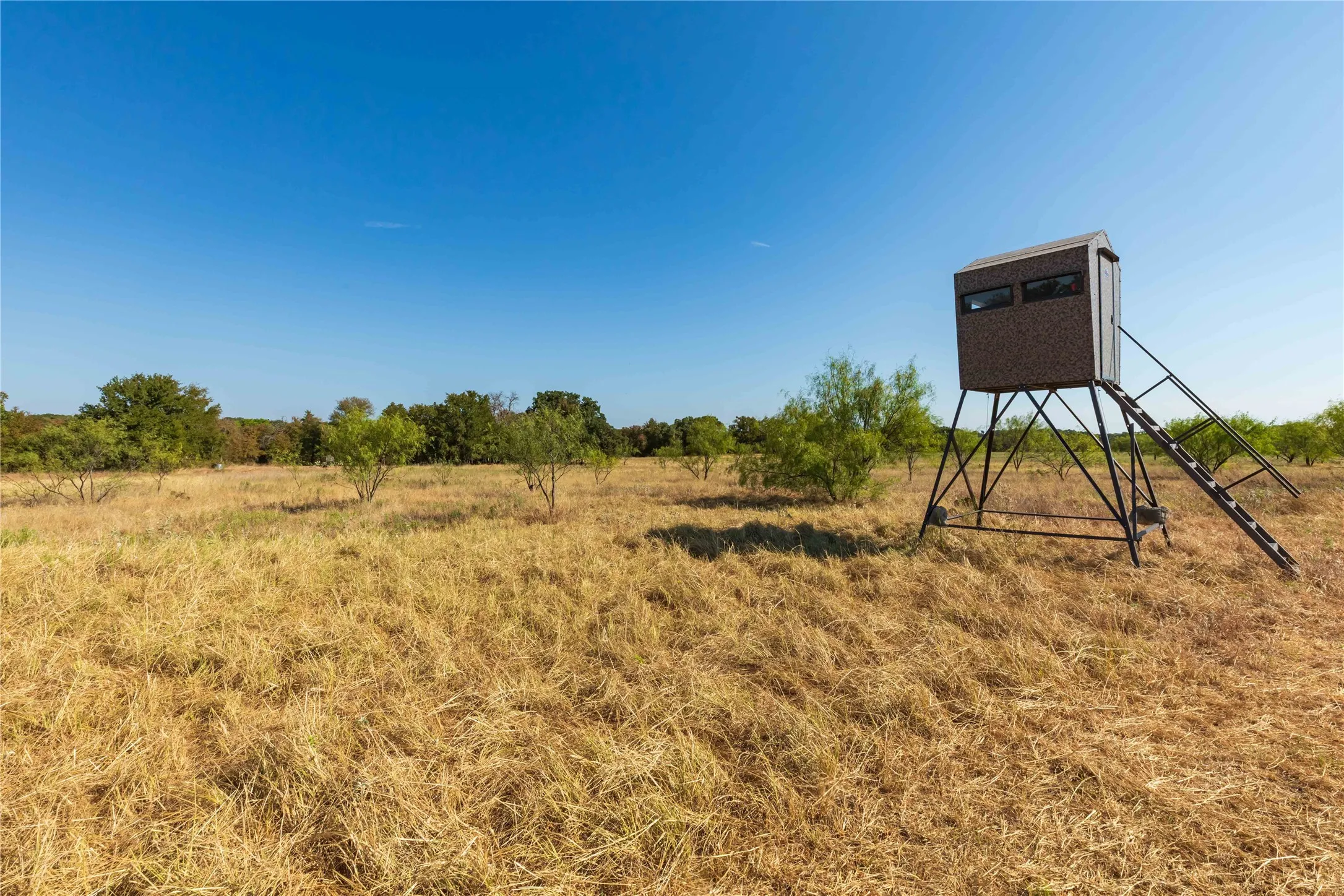 Ranch For Sale in Comanche County , 1282 CR 461, Gorman, Texas 76454, 0, 0, Garage spaces, 0 Sqft, built in 0, mls#21378044, Real Estate Agent in Gorman, Homes For Sale in Comanche county, Homes For Sale in Gorman, Realtor in Gorman Texas, Real Estate Brokerage Independent Realty Texas, Luminita Cordes Realtor